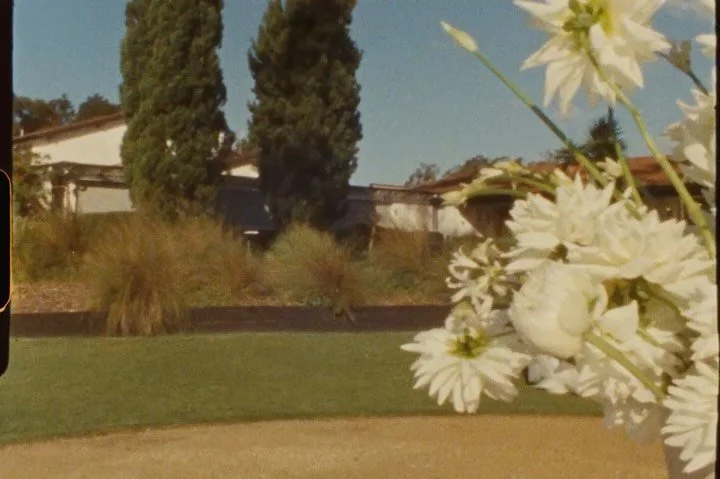 Holly + Jacob on film. 
The epitome of client alignment. 
Thank you for inviting us into your magnificent day @hollafwick 

Film Capture @solealane