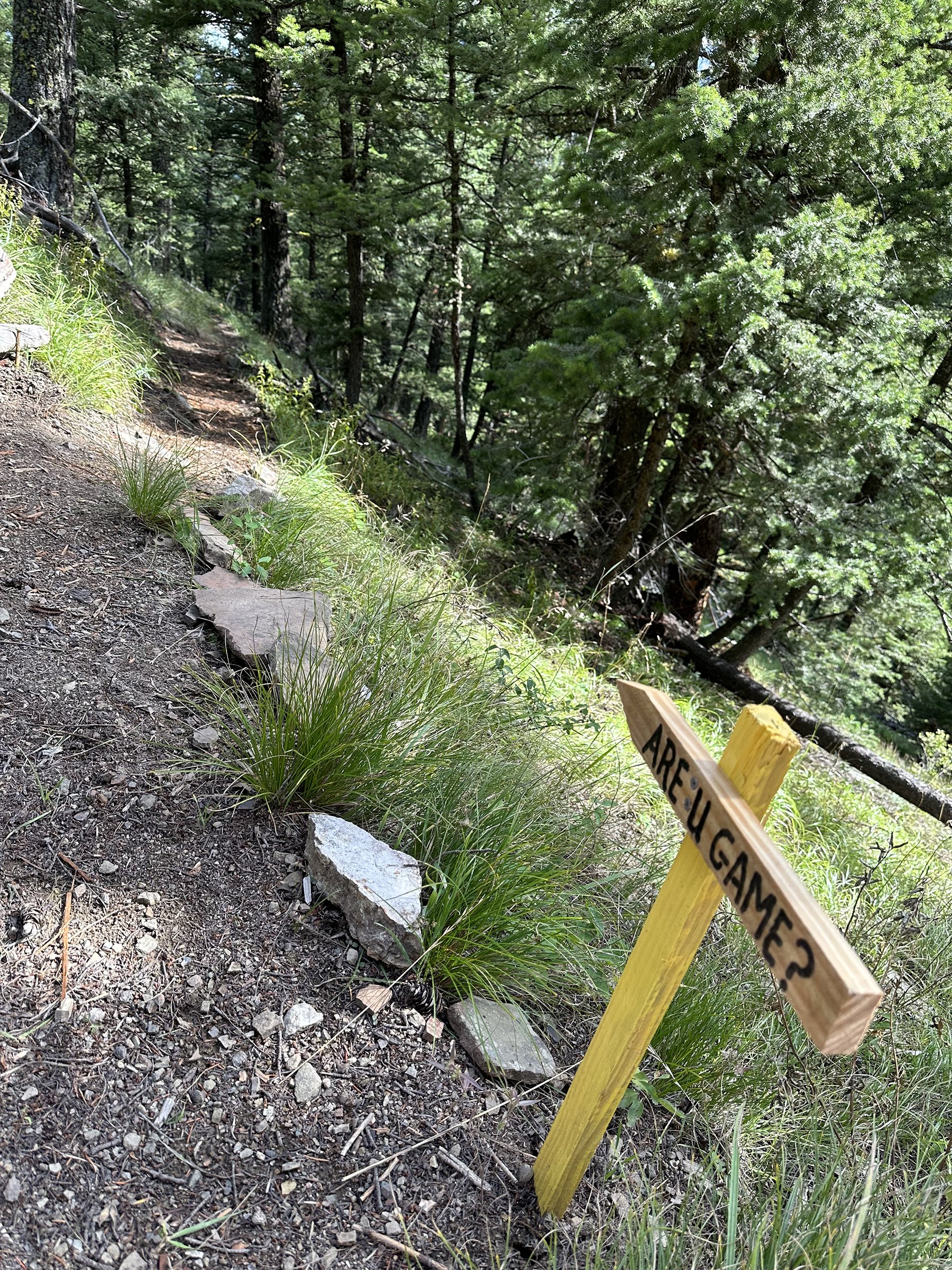 121_Old_Toby_Road_Trail.jpg