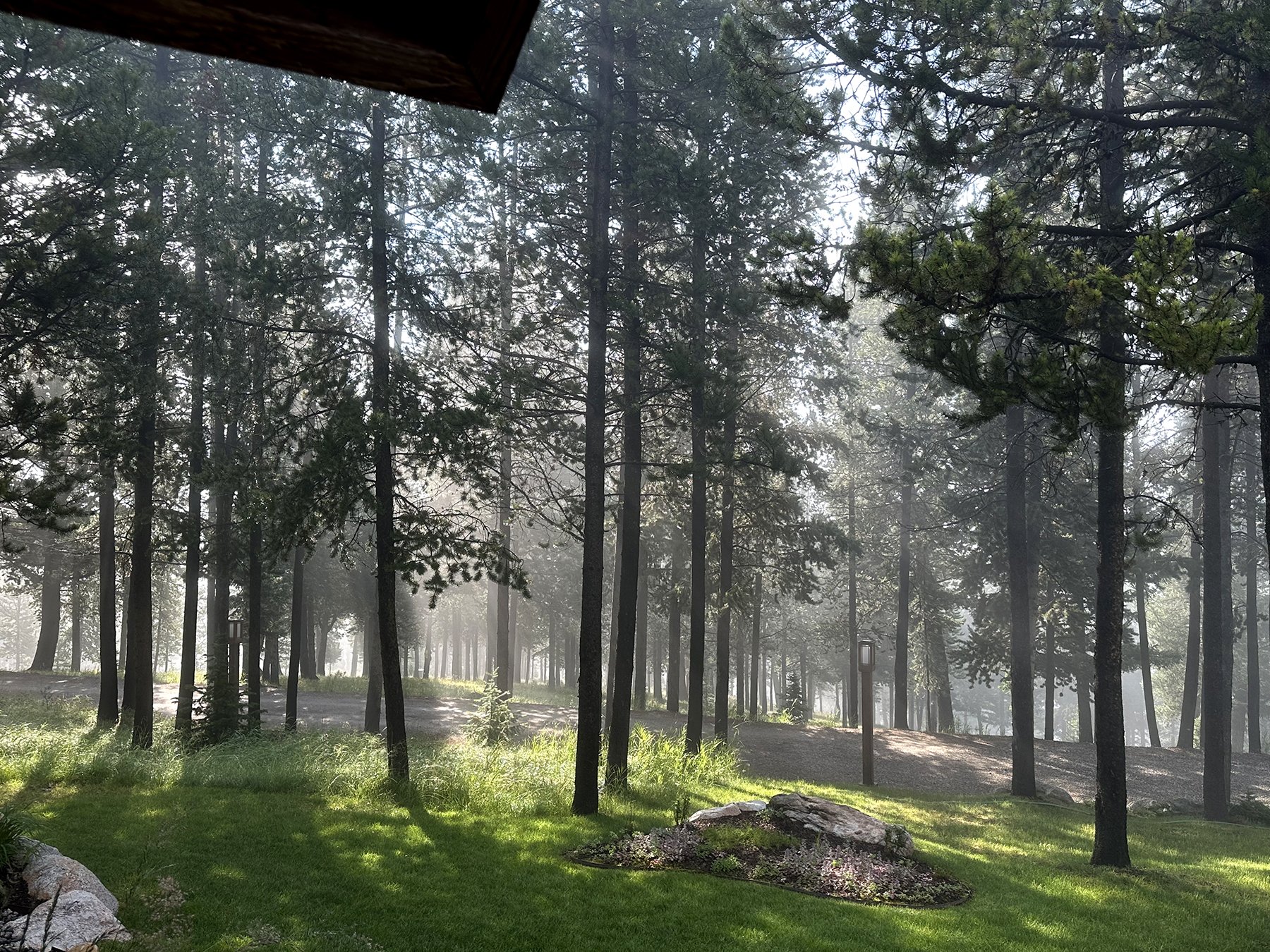 121_Old_Toby_Road_Meadow.jpg
