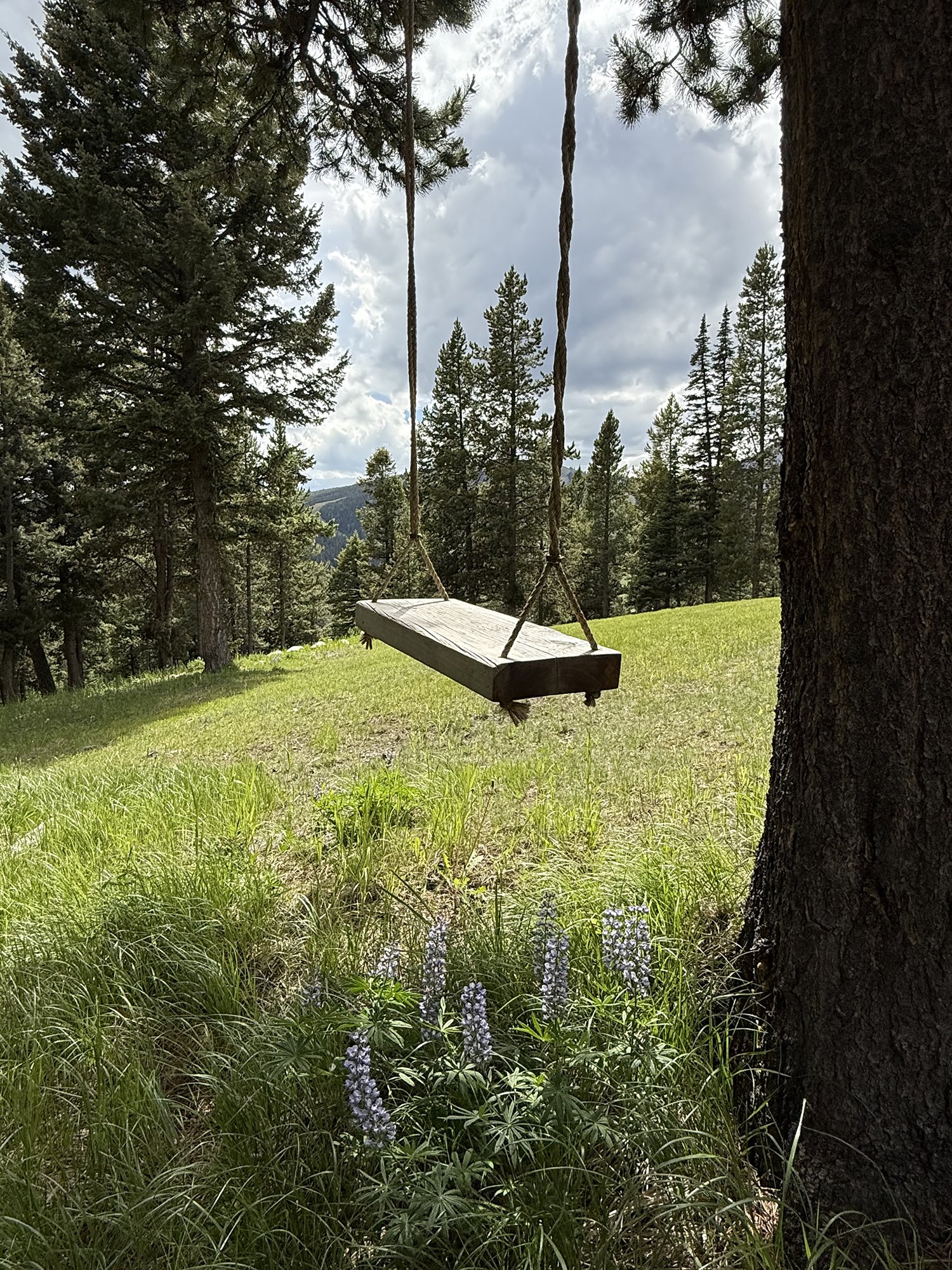 121_Old_Toby_Road_Meadow_3.jpg