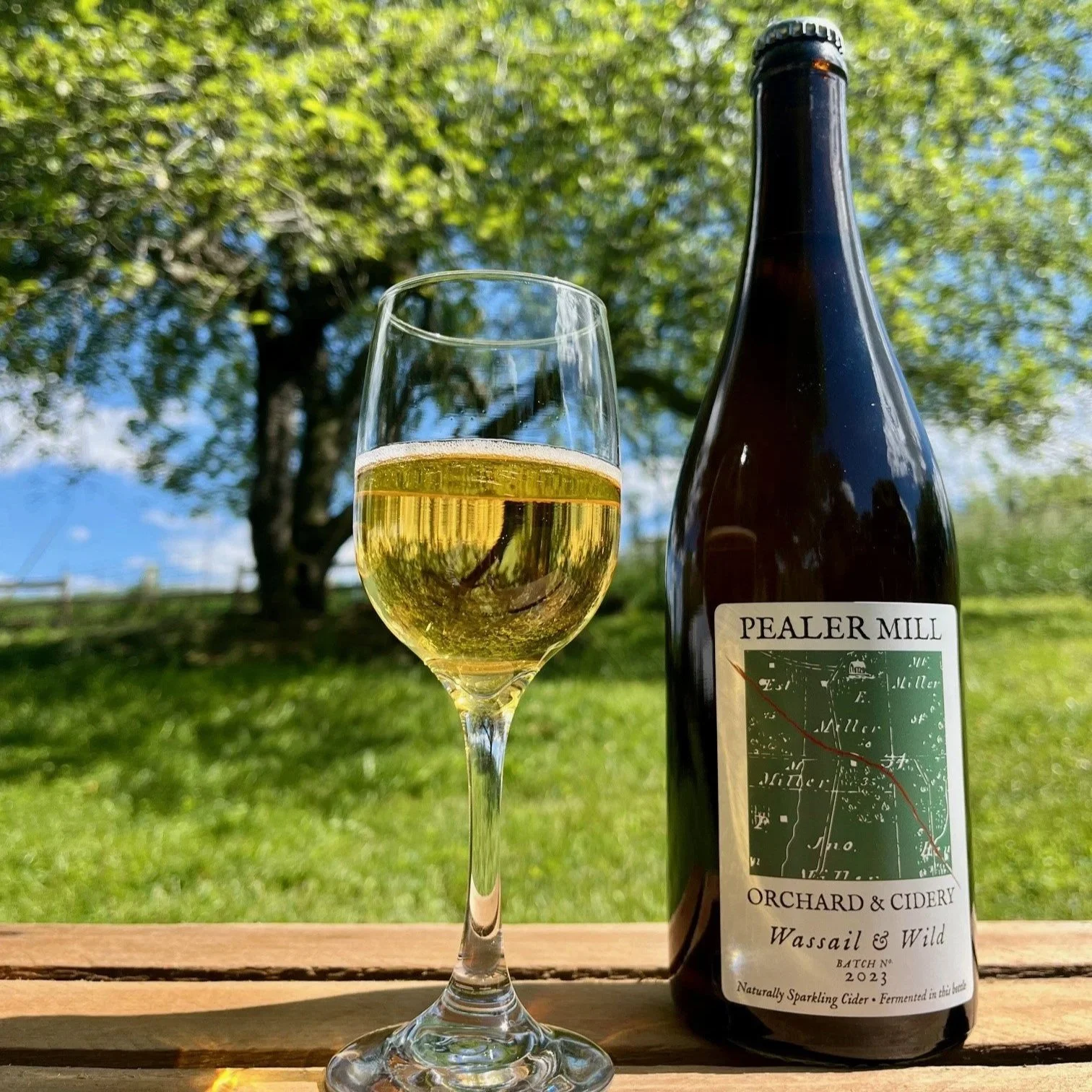 Wassail & Wild Cider