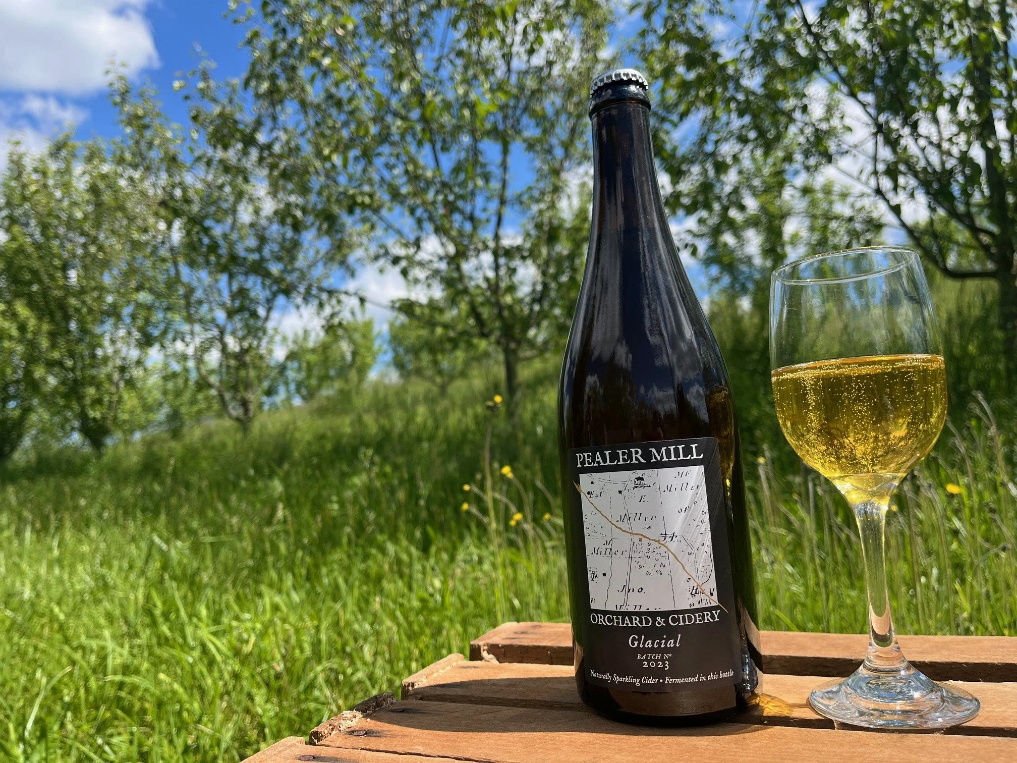 Glacial Cider