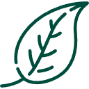 Green outline of a leaf with visible veins.
