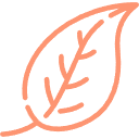 Illustration of a leaf with detailed veins in a simple line art style.