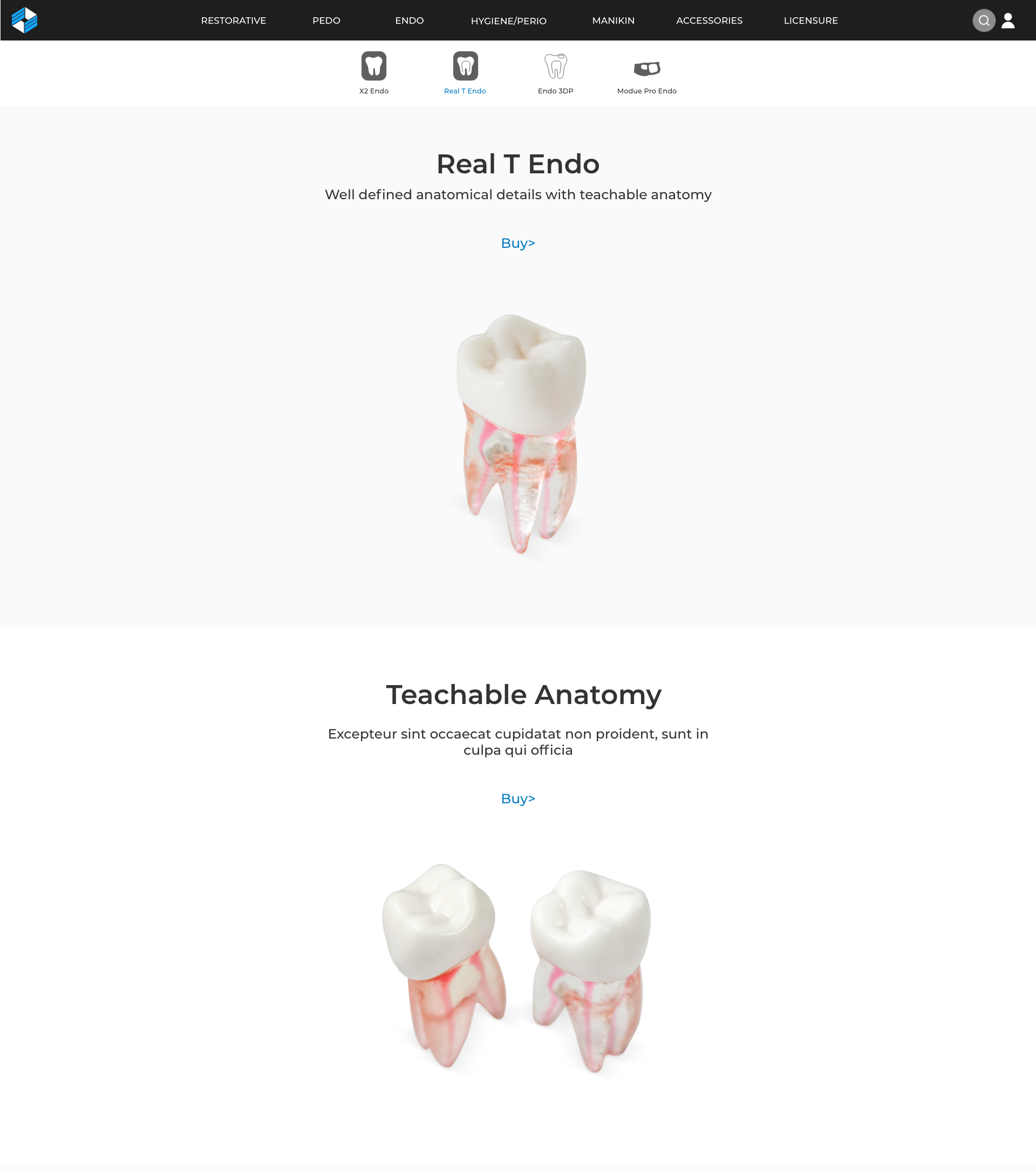 Acadental-ecommerce-slide-show2.png