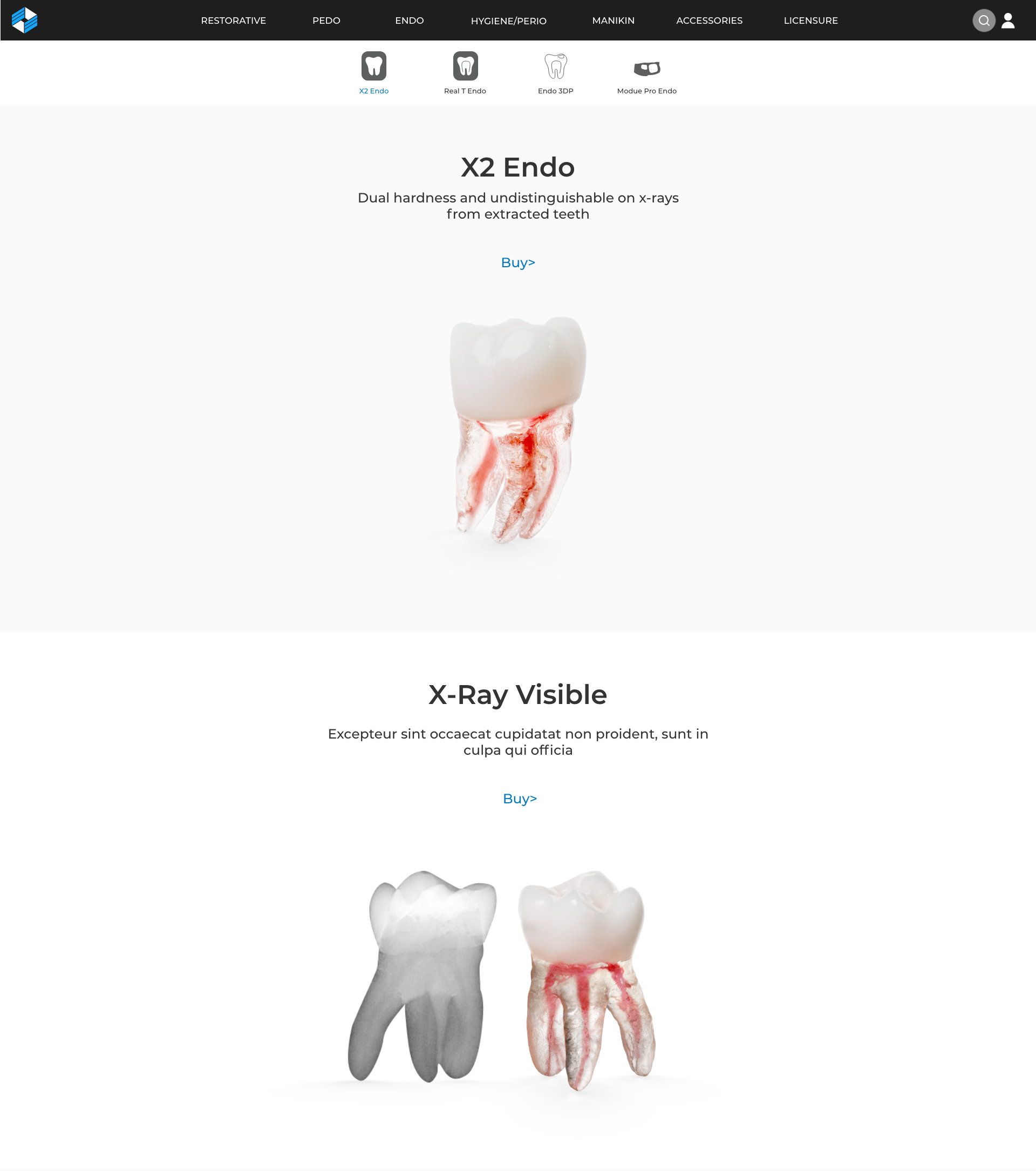 Acadental-ecommerce-slide-show4.png