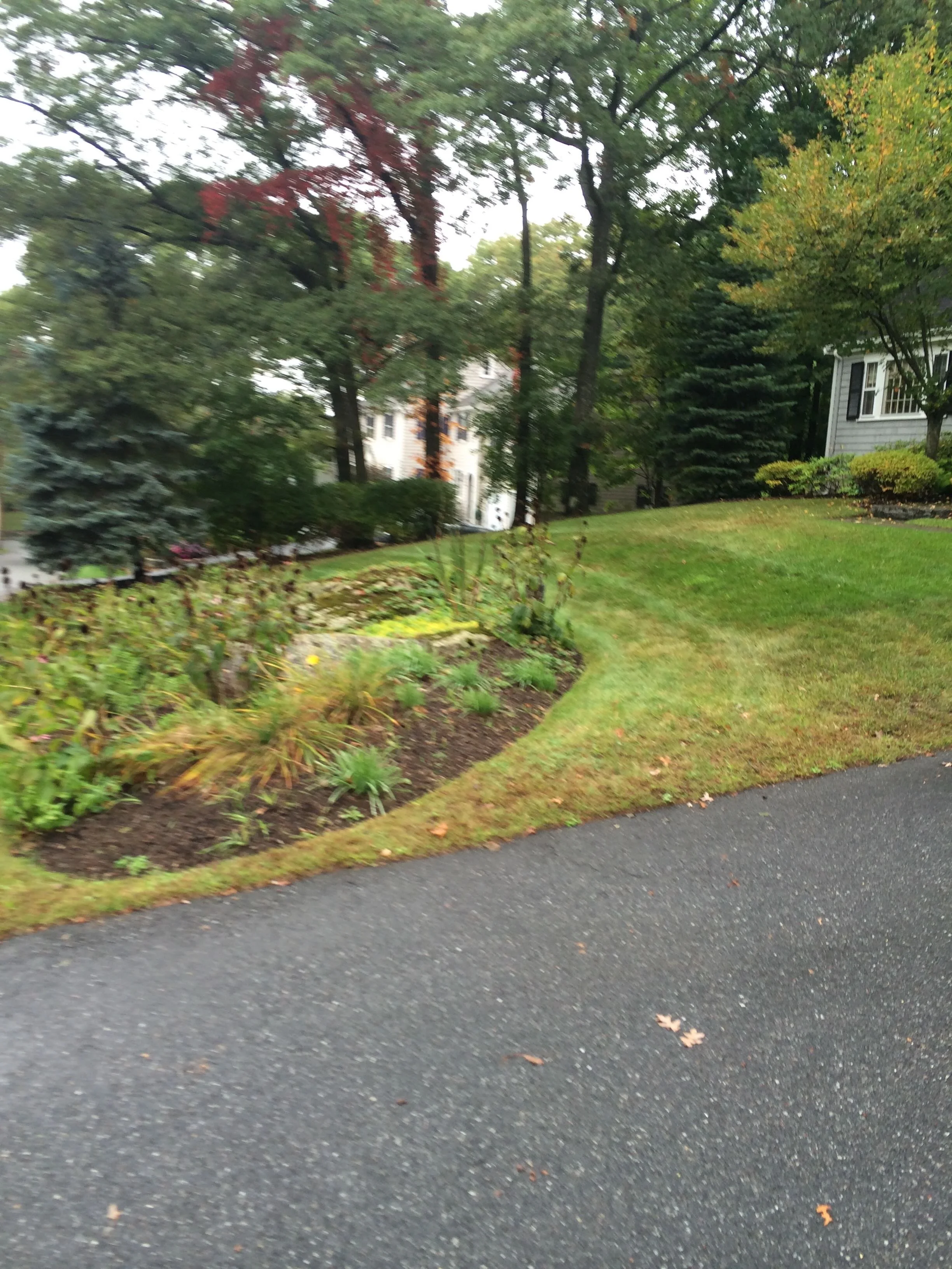 Before ~ After - 9 of 45.jpeg