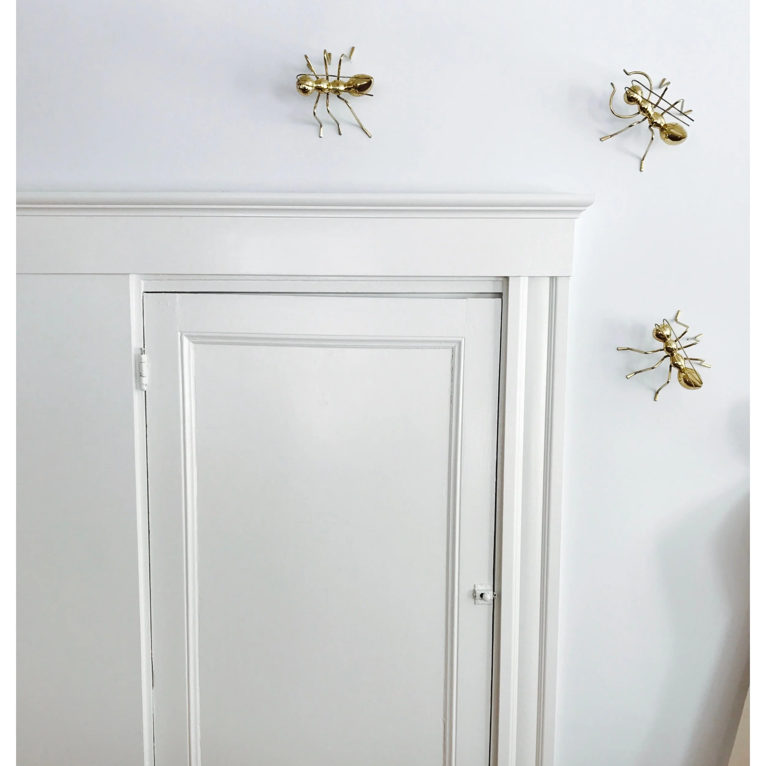 Website wlust photos  - 1 of 1.jpeg