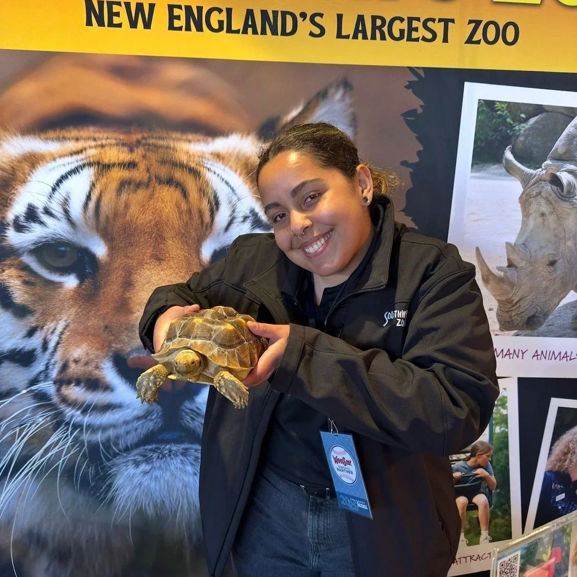 A smiling young woman holding a small turtle at a zoo with large animal posters in the background, including a tiger and a rhinoceros.