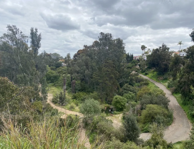 Switzer Canyon Nature Walk and Optional Work Party