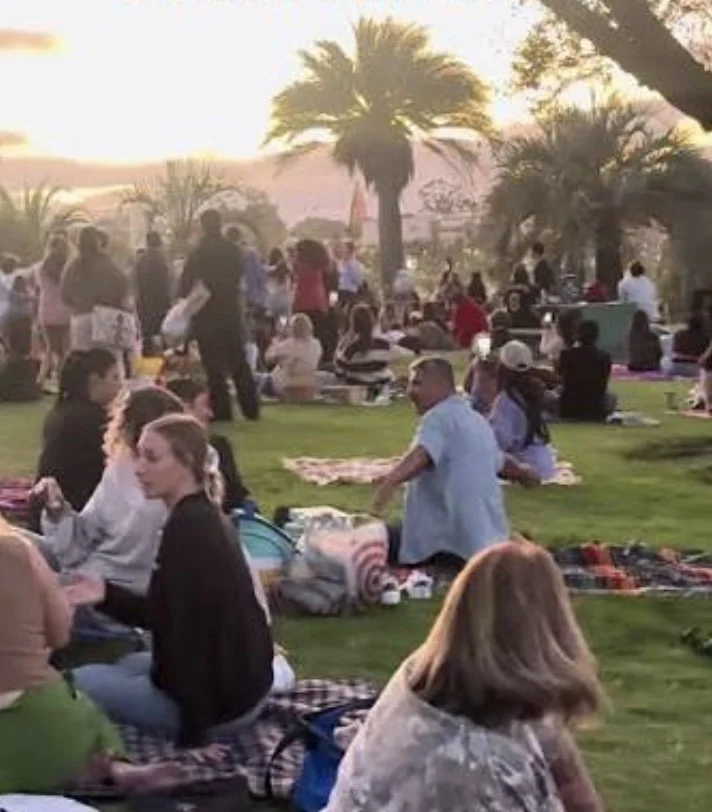 Community Picnic!