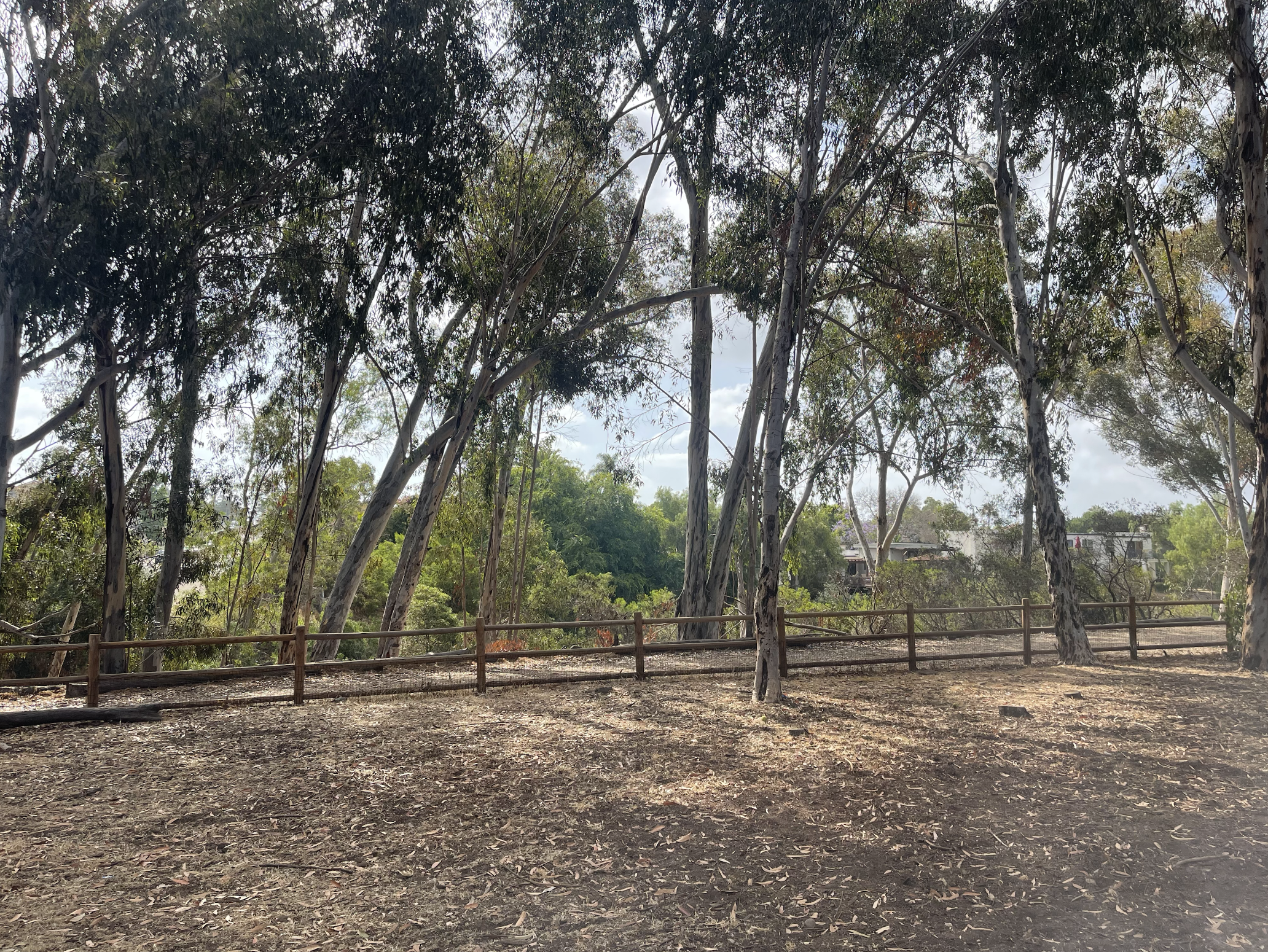 28th Street Canyon Community Design Session