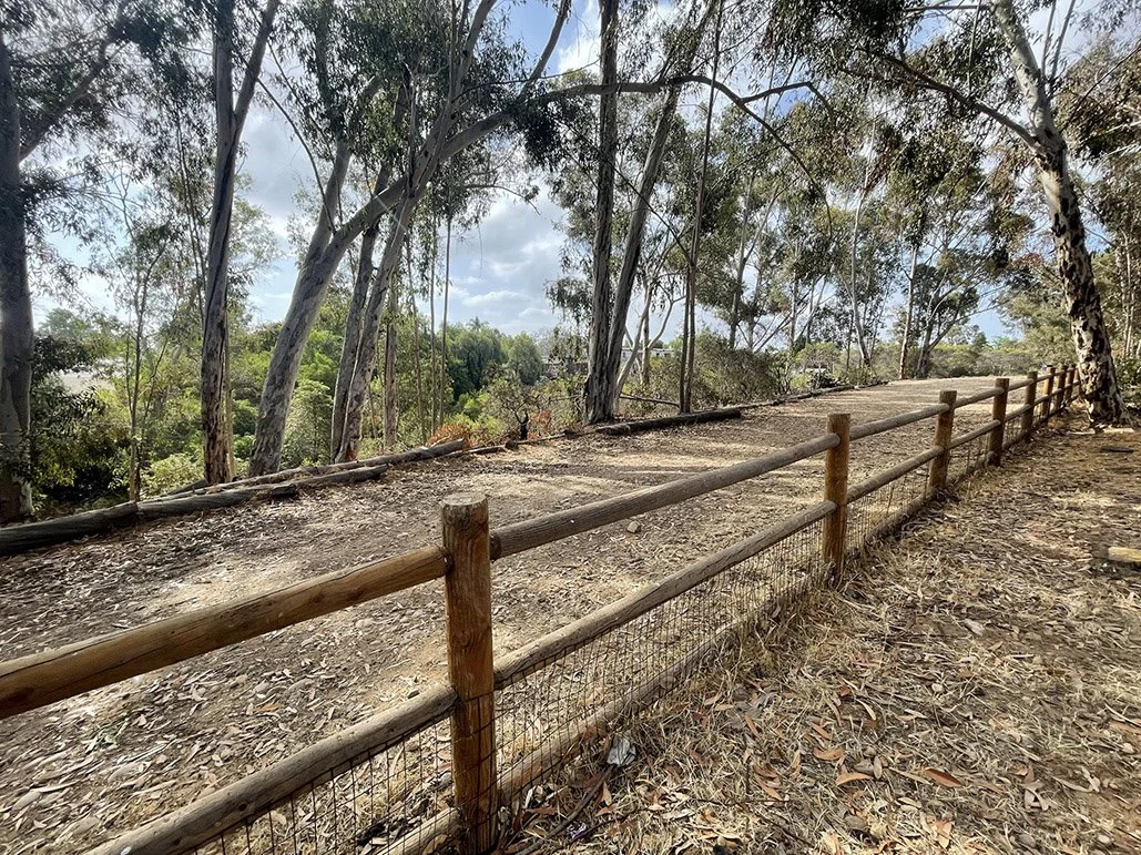 28th Street Canyon Walking Trail