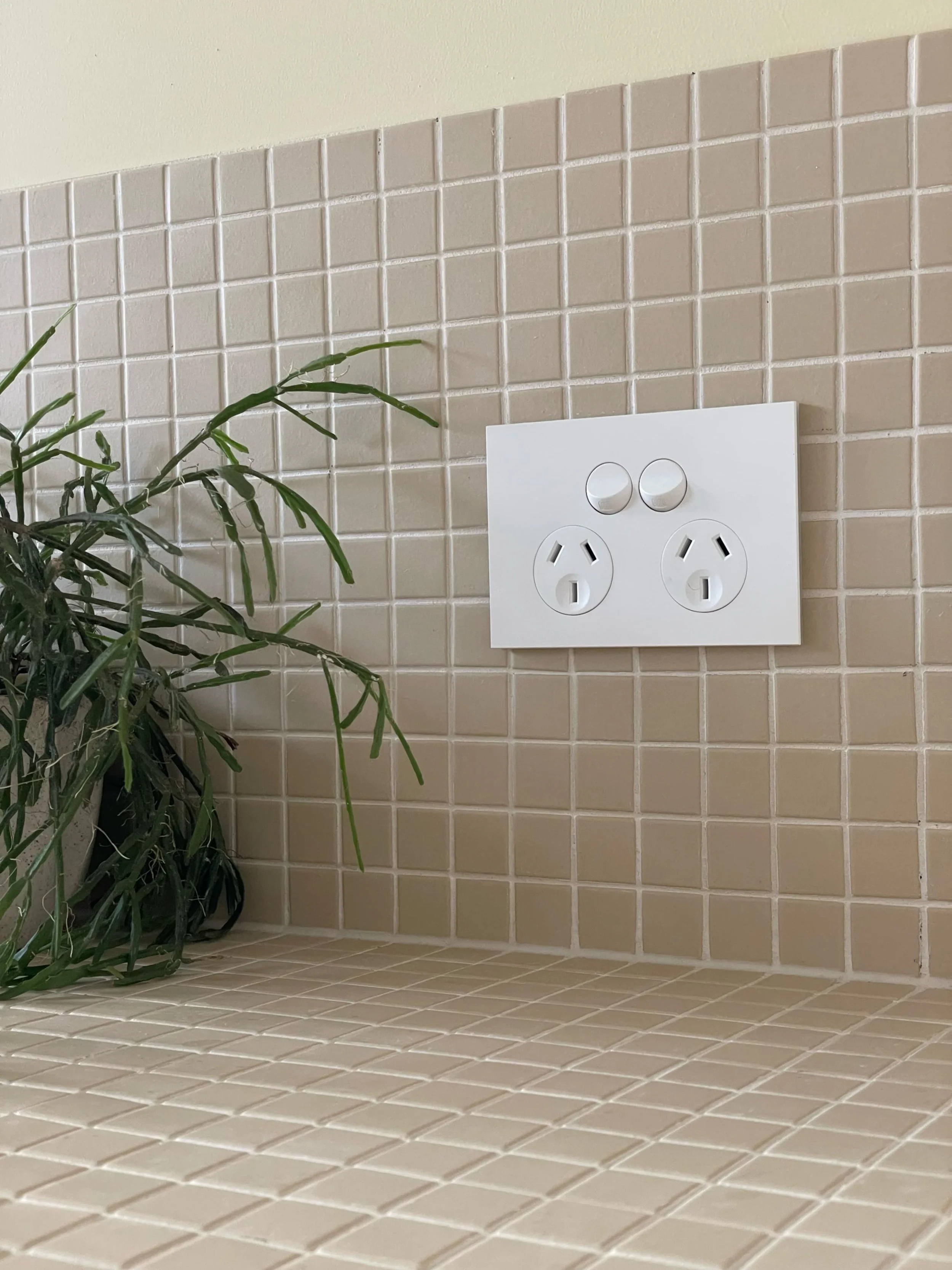 Two plug sockets on a white power board with two switches. Taupe square mosaic tiles, green pot plant, cream wall