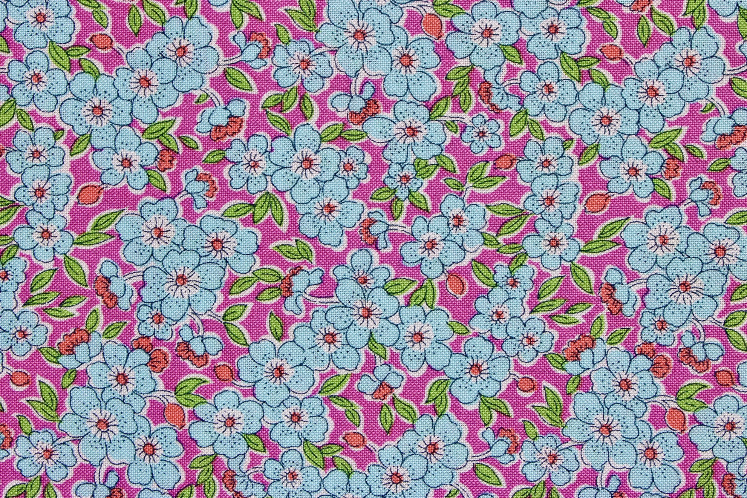 IMG_1408.jpeg