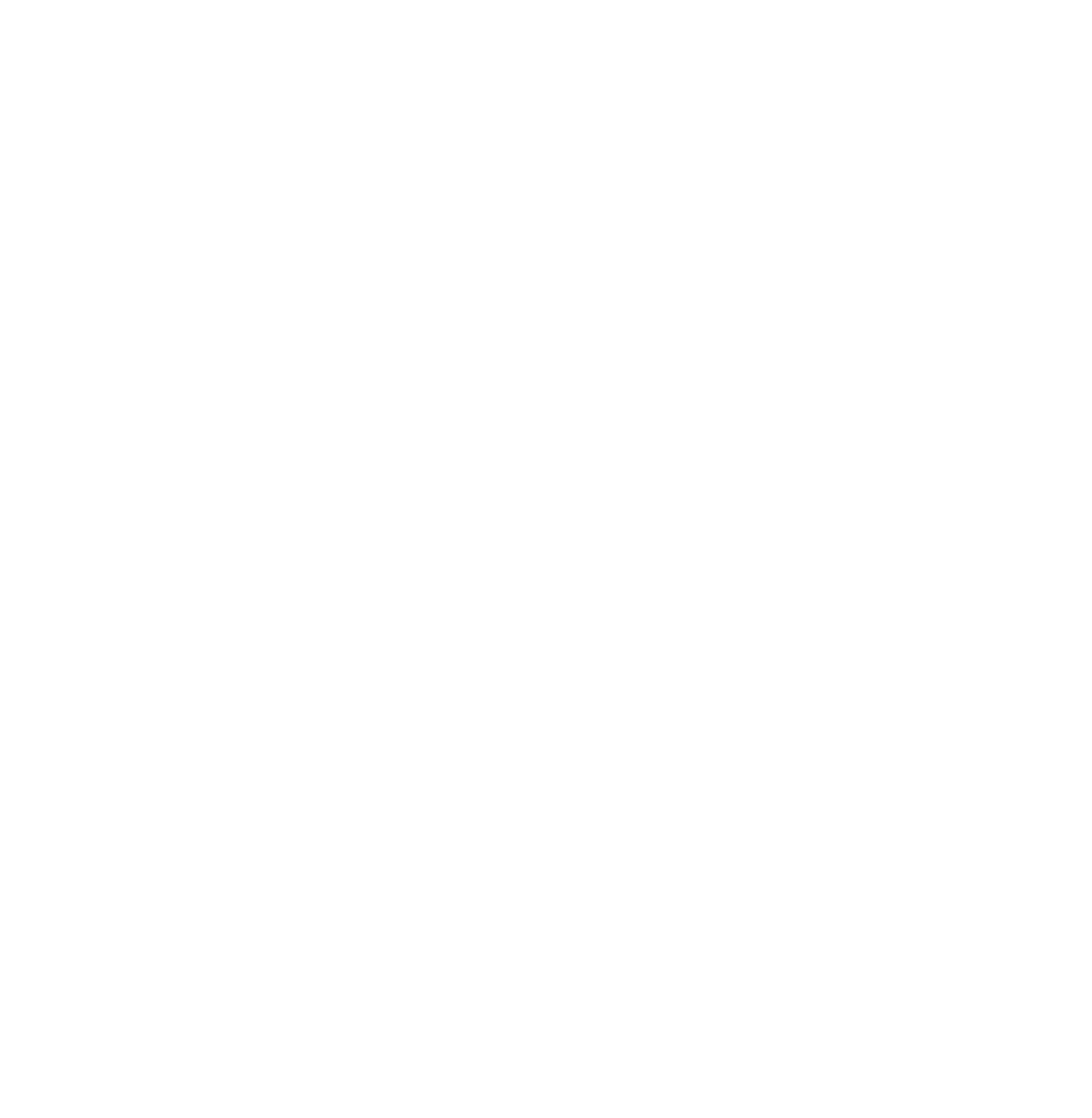 Silhouette of a human skull with star-shaped designs inside, resembling a decorative or artistic style.