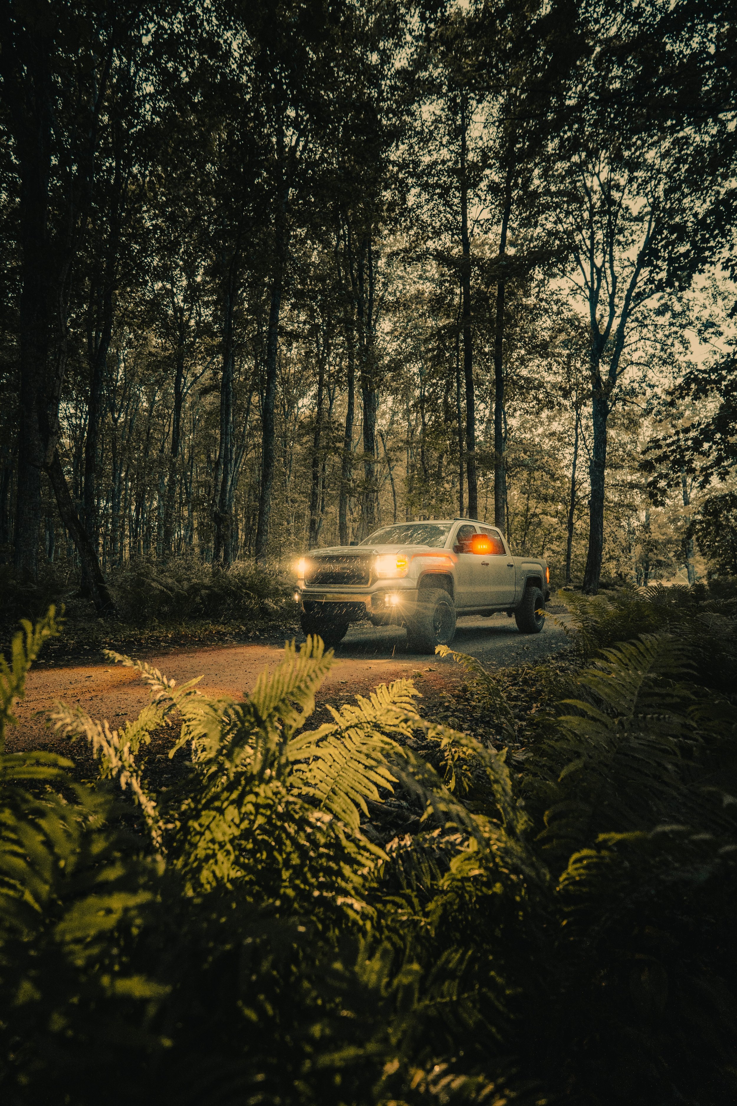 DSC08534-2 copy .jpeg