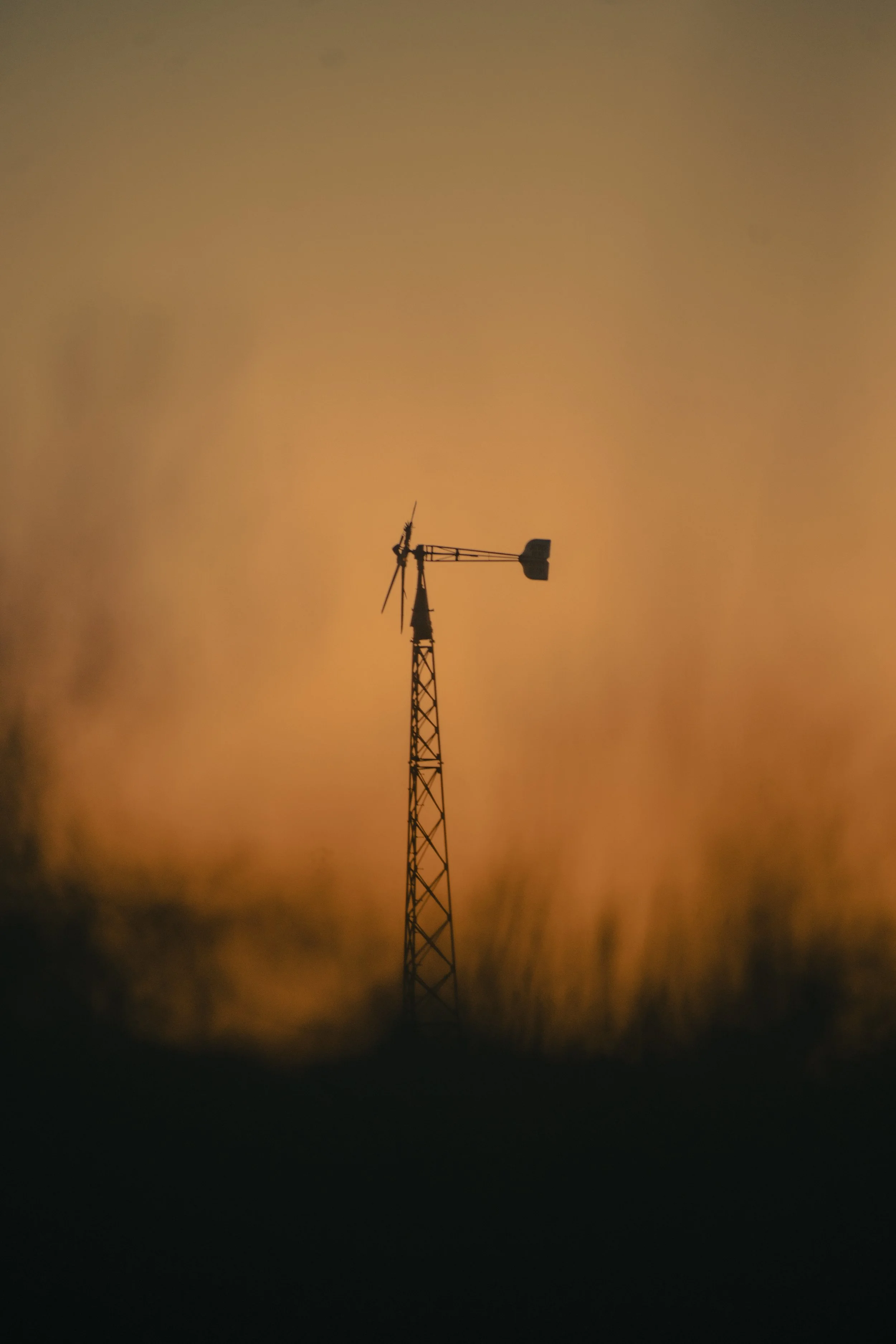 Cinema Foreground.jpg