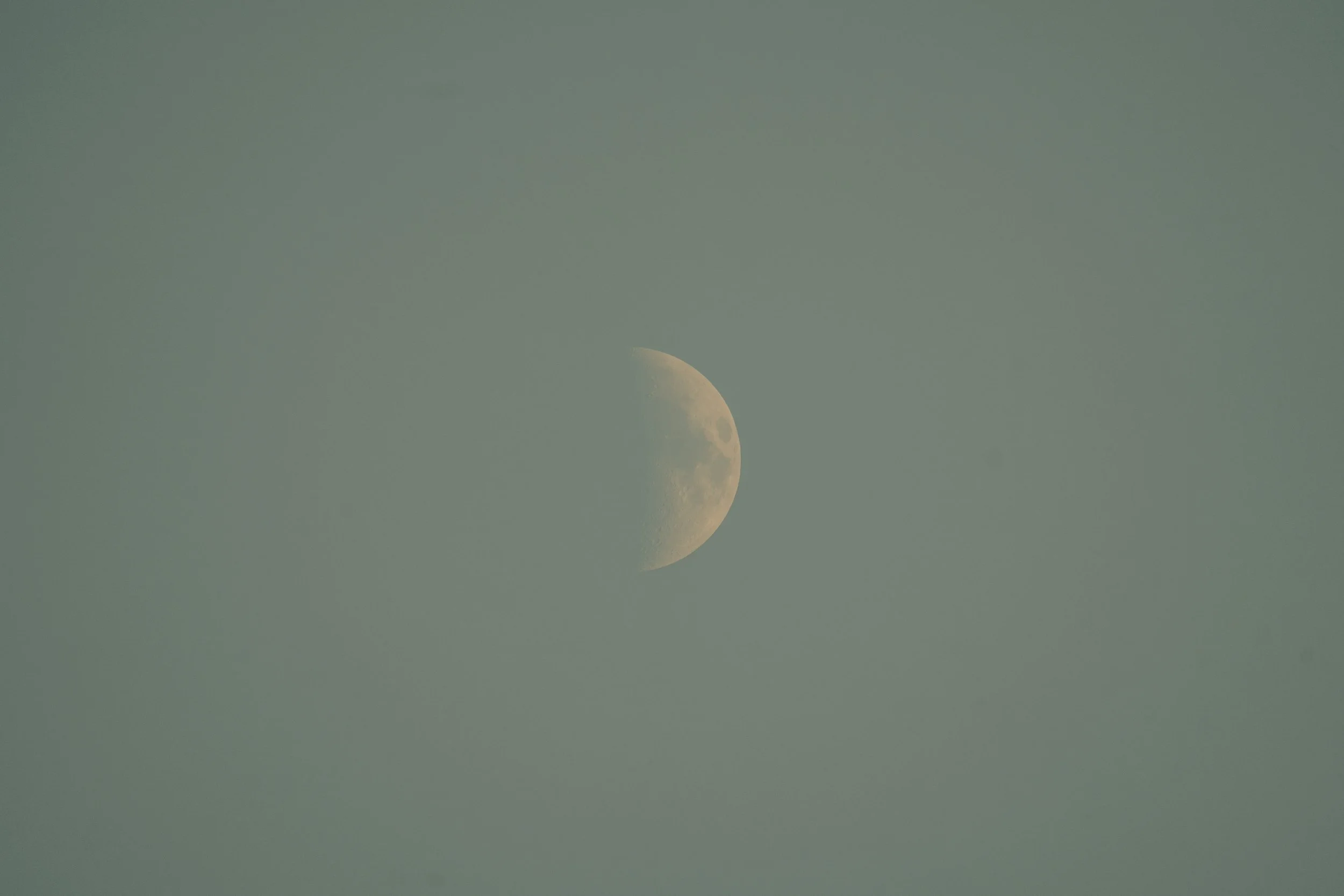 DSC04548.jpg