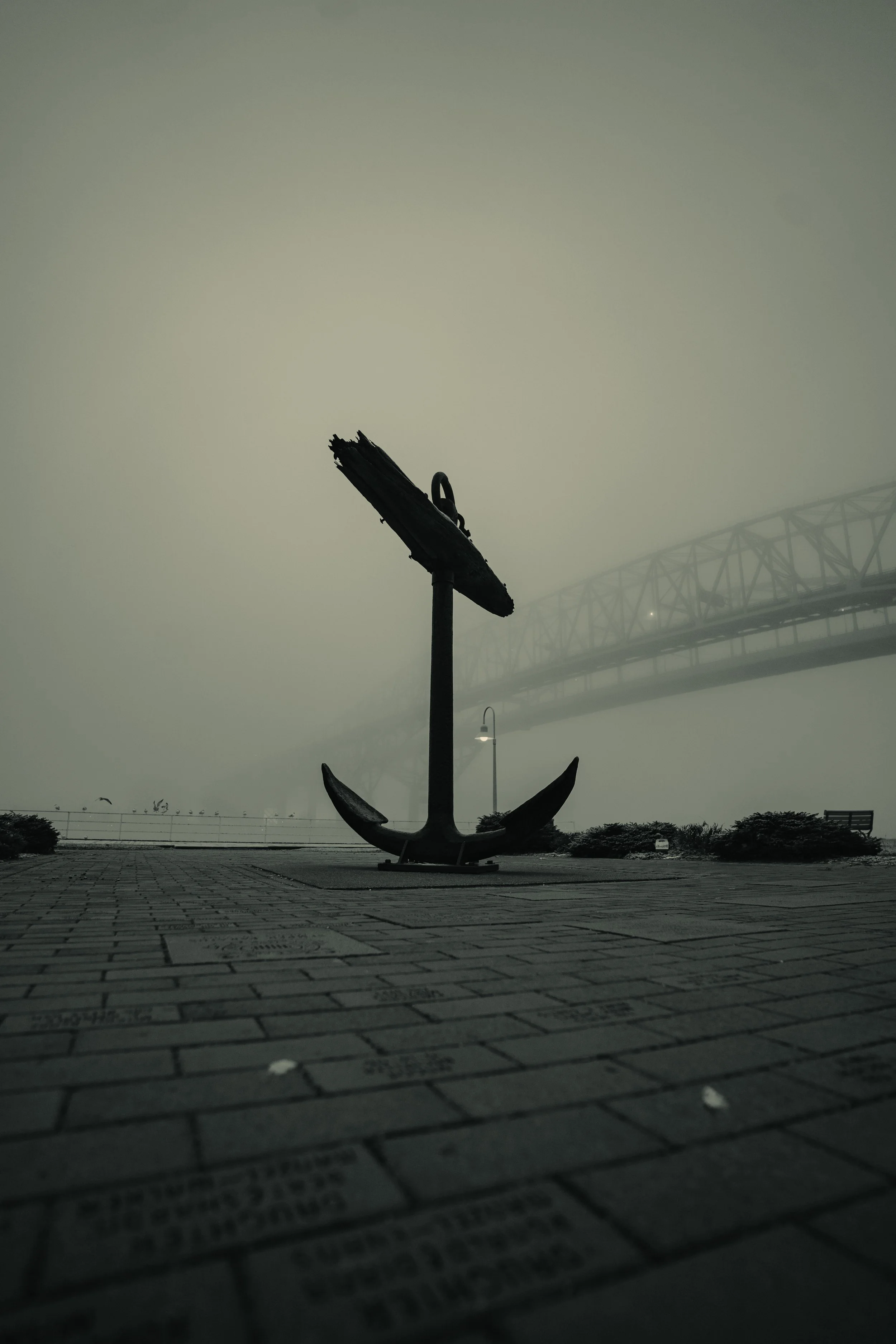 Anchor Down.jpg