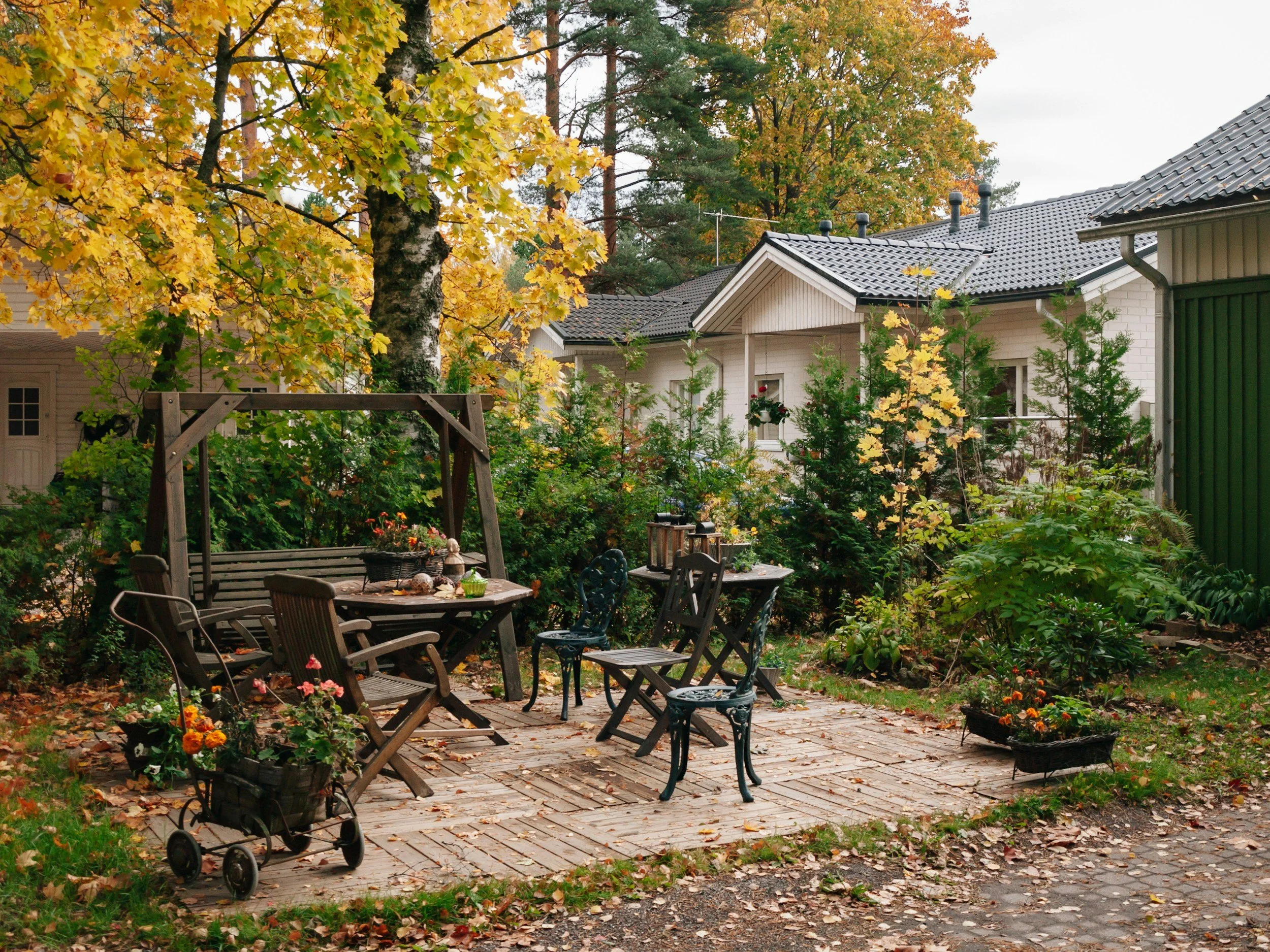 Big Trailer Services removes dead or fallen trees, shrubs and branches and hauls the debris away.