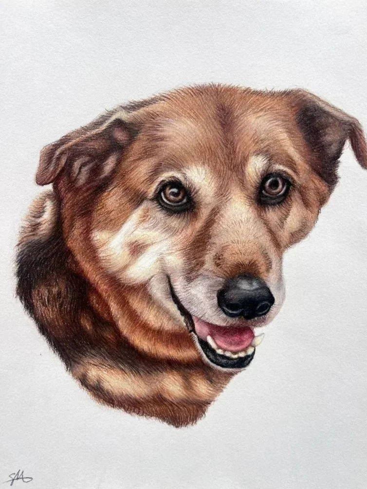 petportraitkendrick2.jpg