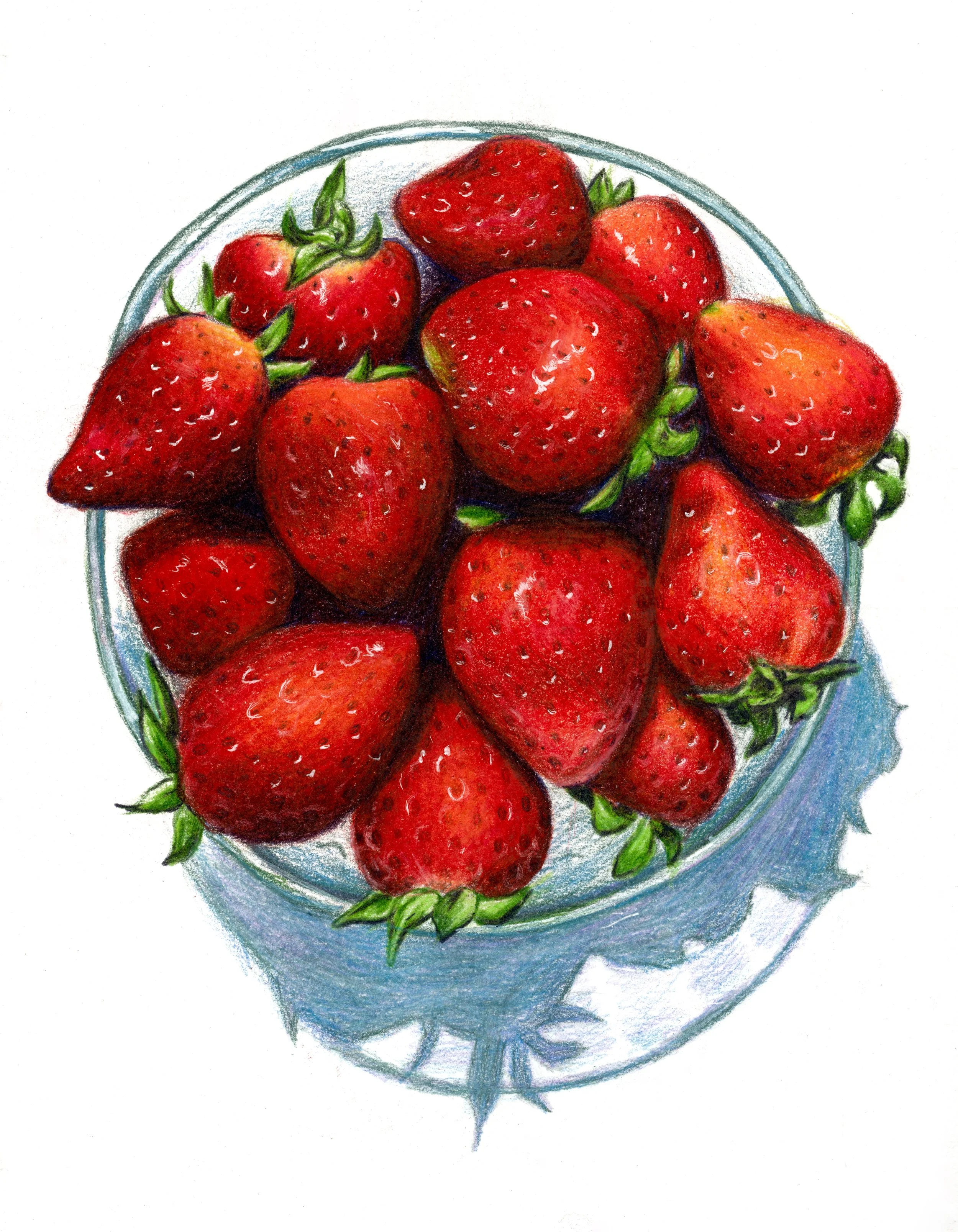 Drawing of a bowl of fresh red strawberries, viewed from above, with green leaves on the stems and a shadow cast on the white surface.
