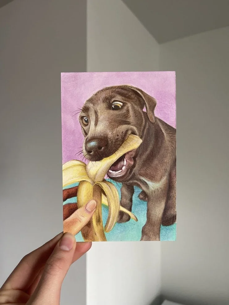 SillyDogSeries - banana dog.jpg