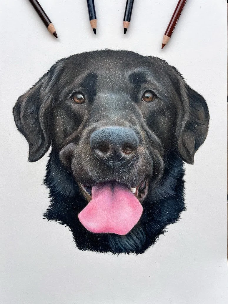 PetportraitdrawingOakley.jpg