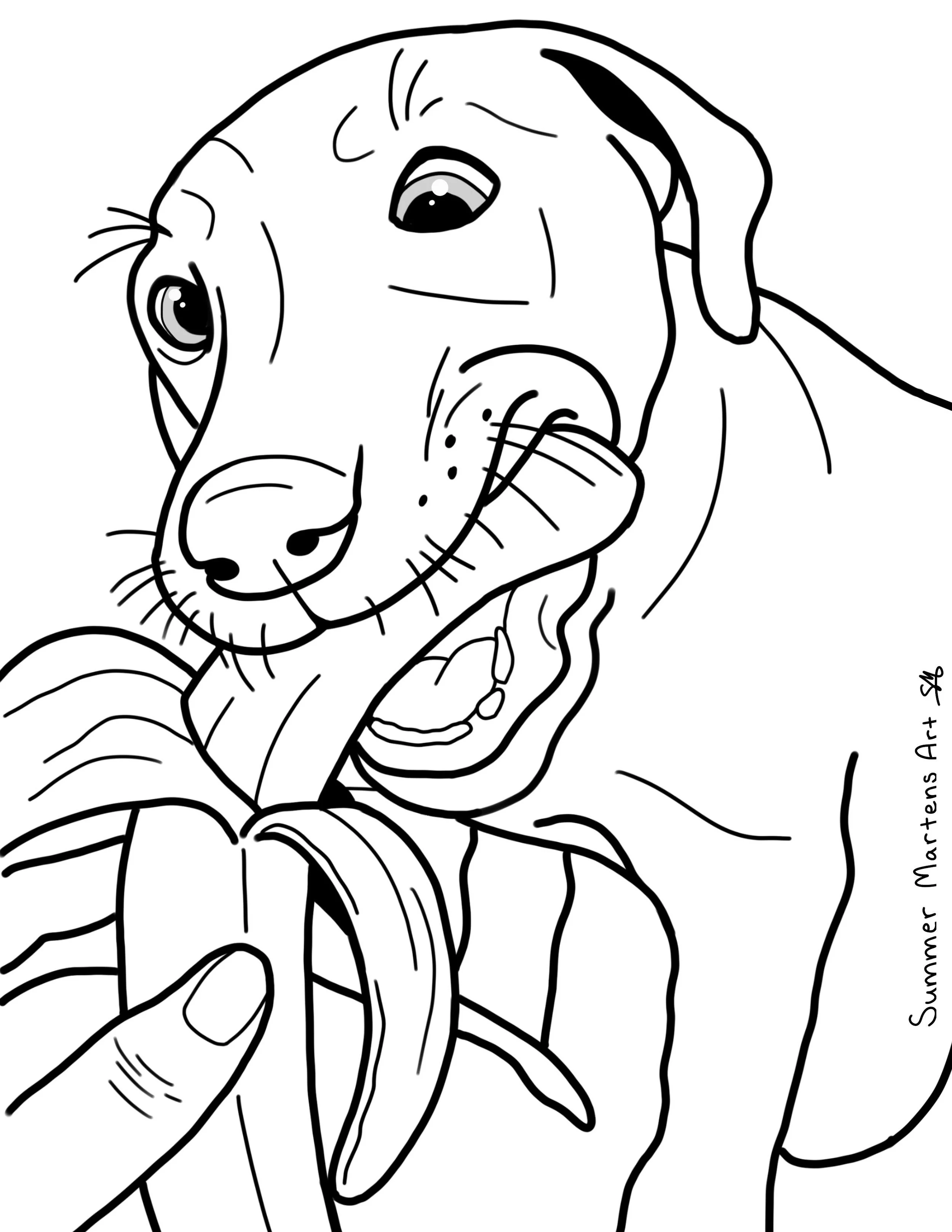 SillyDogSeries - ColouringPage - BananaDog.jpg