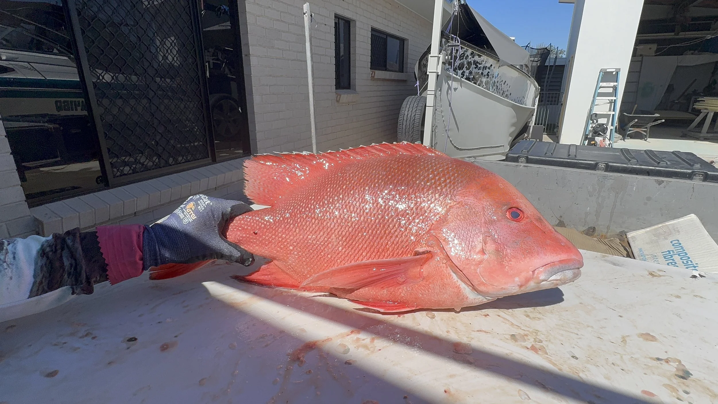 Year 2, Week 8 - Seafood Galore &amp; Sunset Beers 