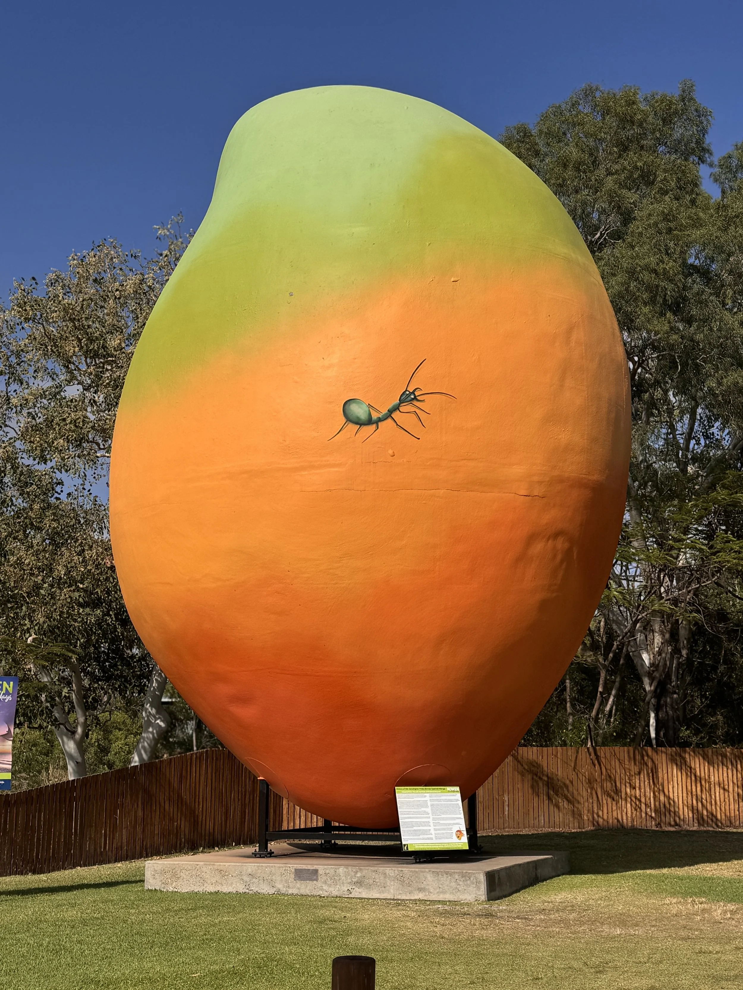 A Week of Big Things, Bigger Views &amp; Laid-Back Vibes in Townsville