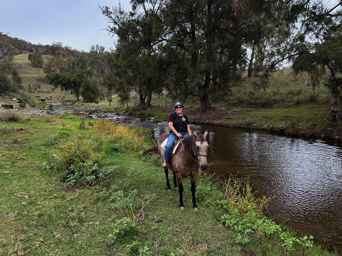 Woman on horseback riding along a riverbank in a lush, wooded landscape with a herd of cows in the background.