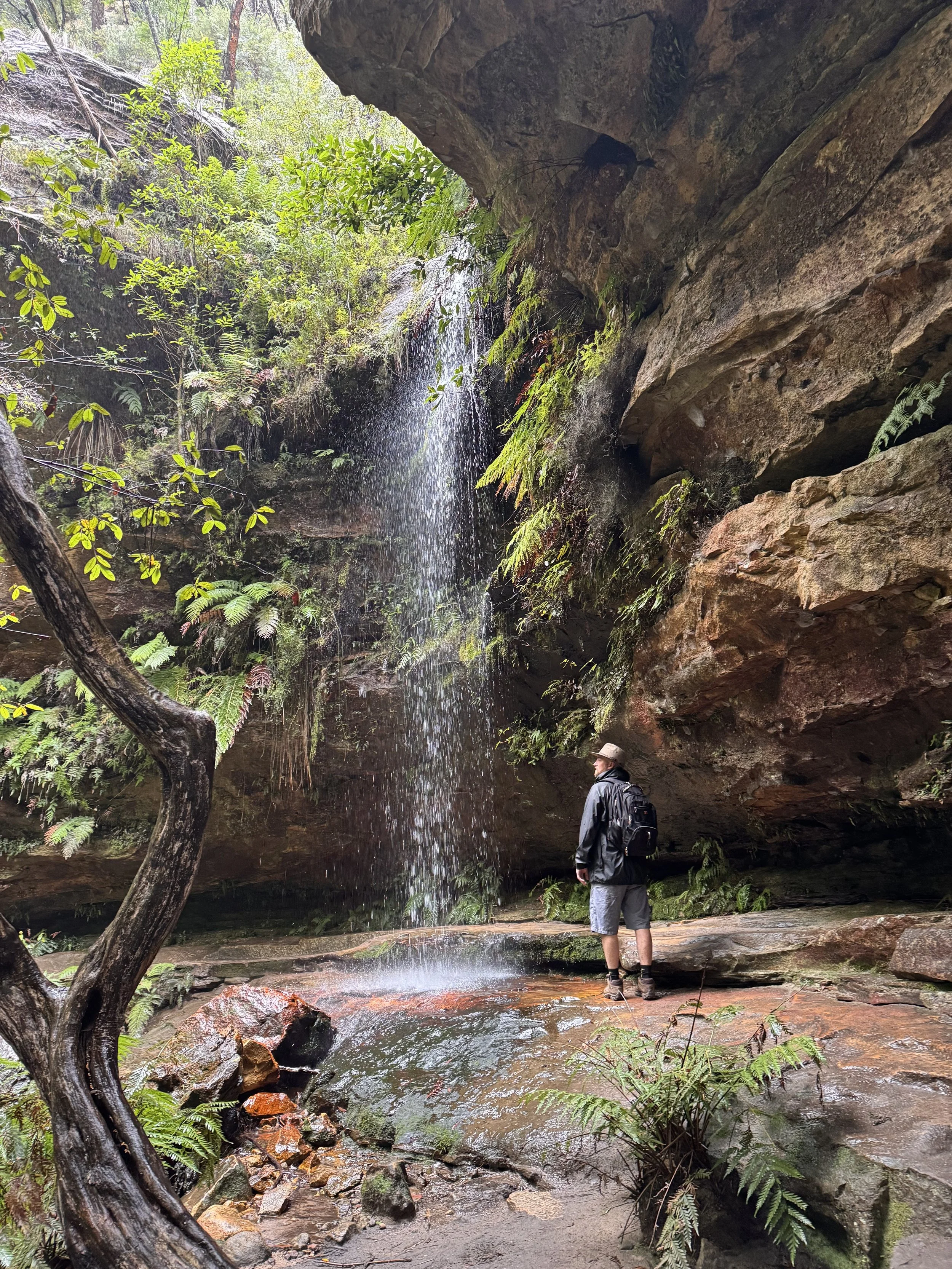 A hiker stands on a rocky ledge in front of a small waterfall inside a lush, green canyon.