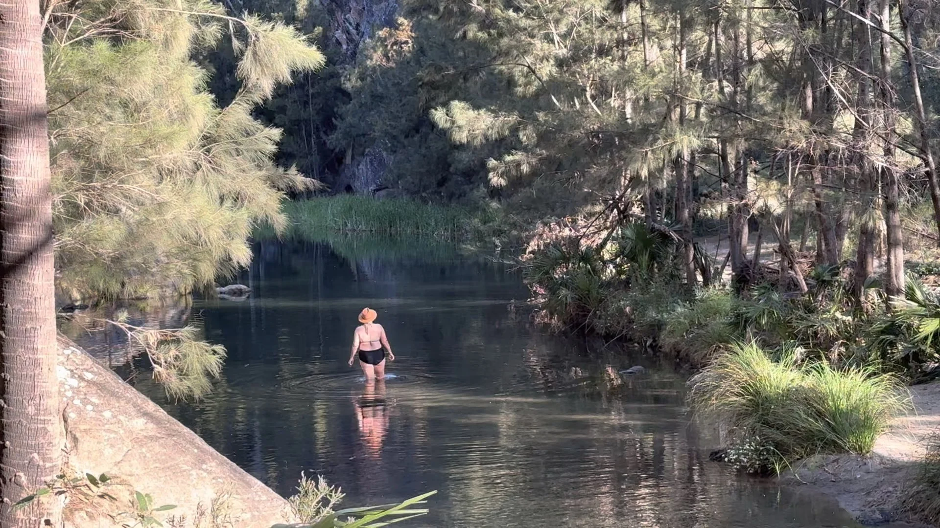 A woman in a sun hat and black swimsuit wading through a calm creek surrounded by lush trees and vegetation in a forest setting.