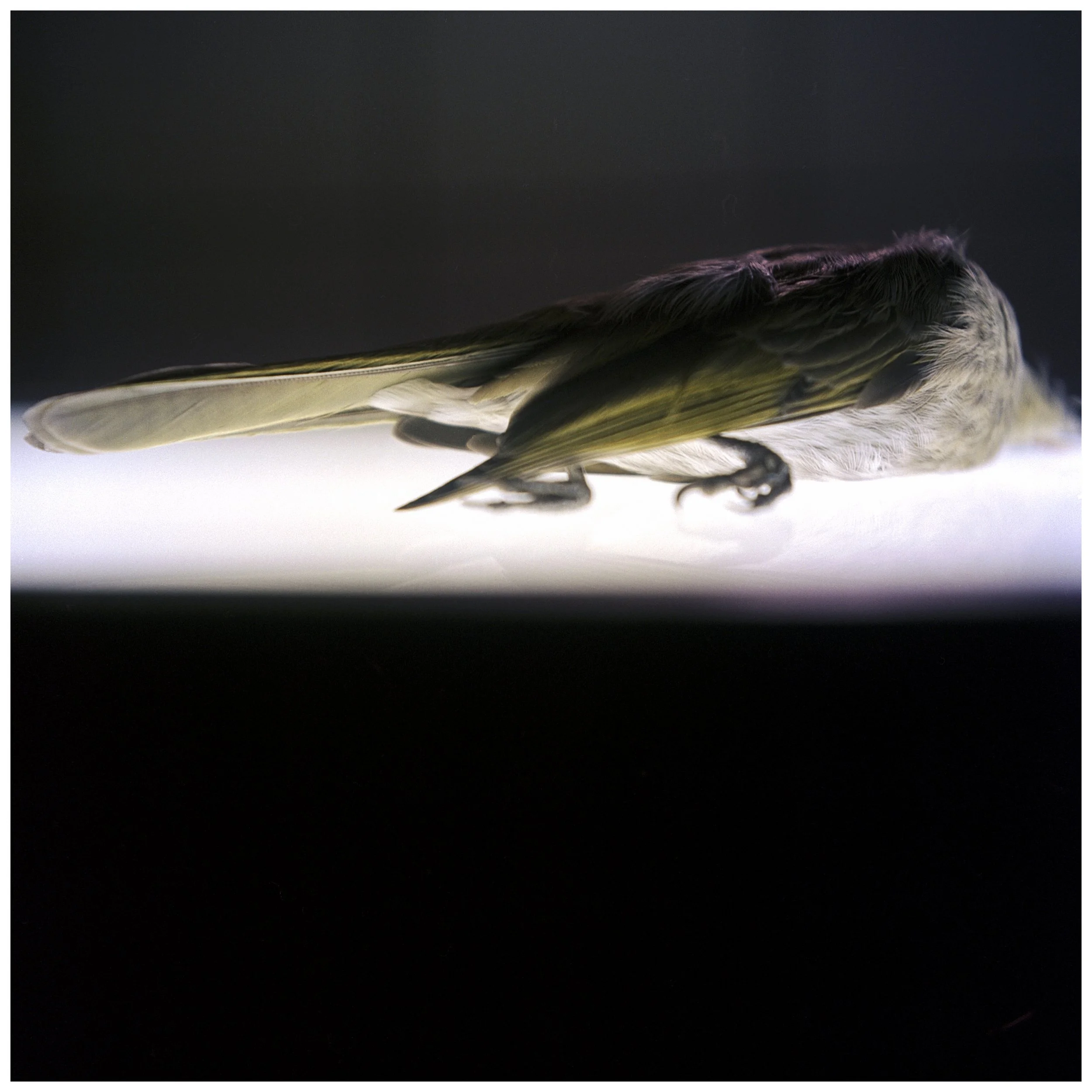 Atonement, 2006. C-type print.