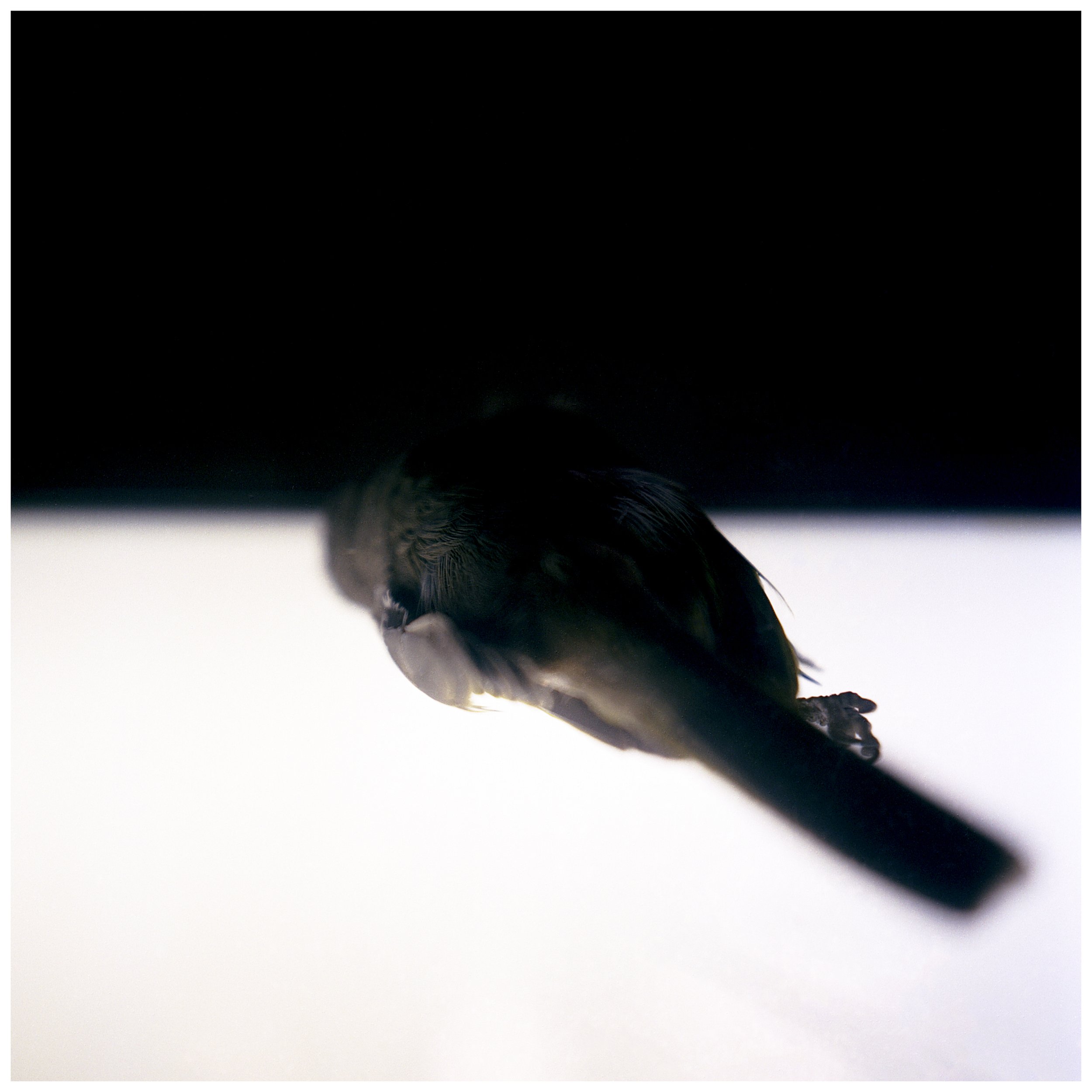 Reckoning, 2006. C-type print.