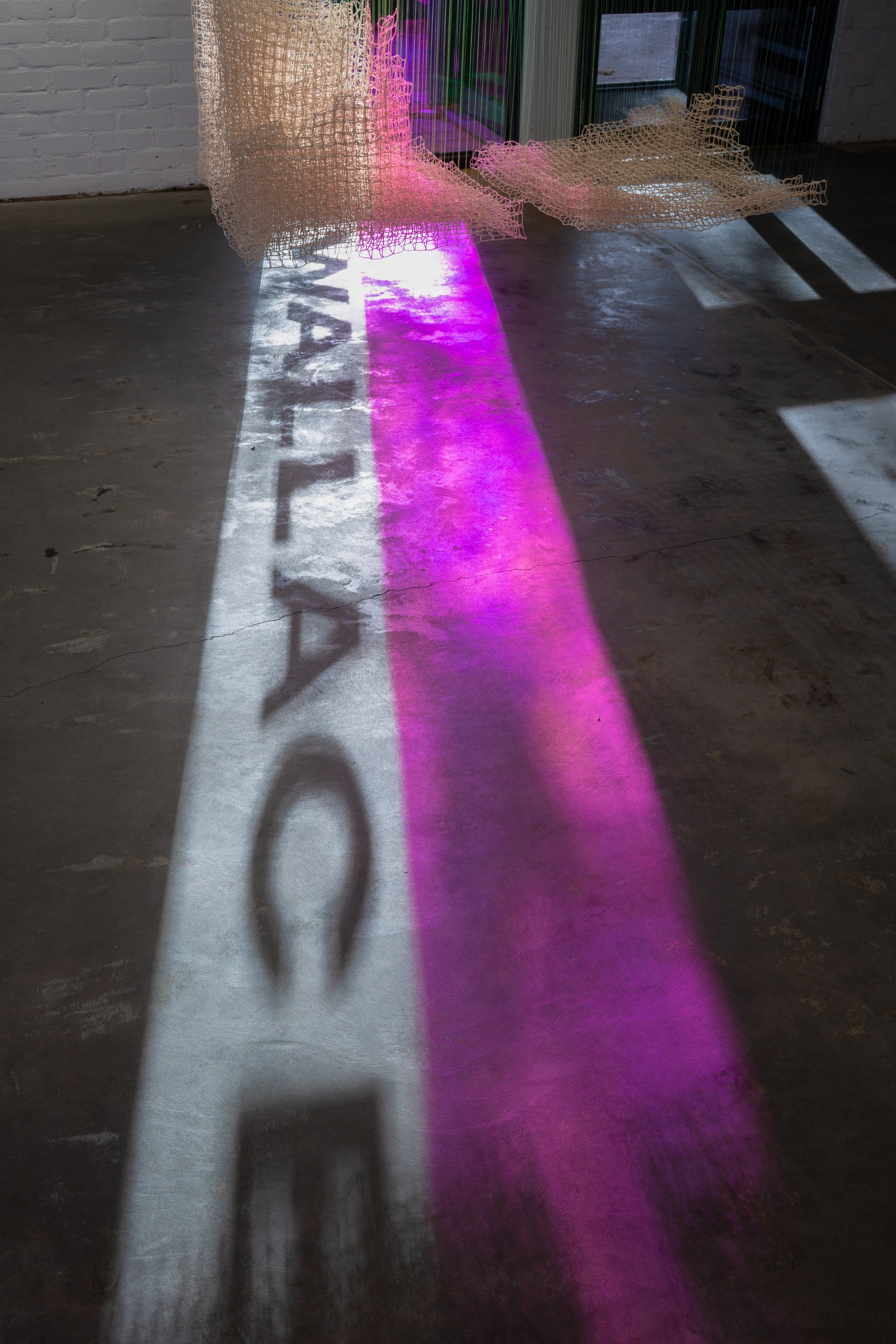 Installation view featuring the work of Rebecca Baumann and Marzena Topka, Vulnerable Structures, WALLACE, 2026.