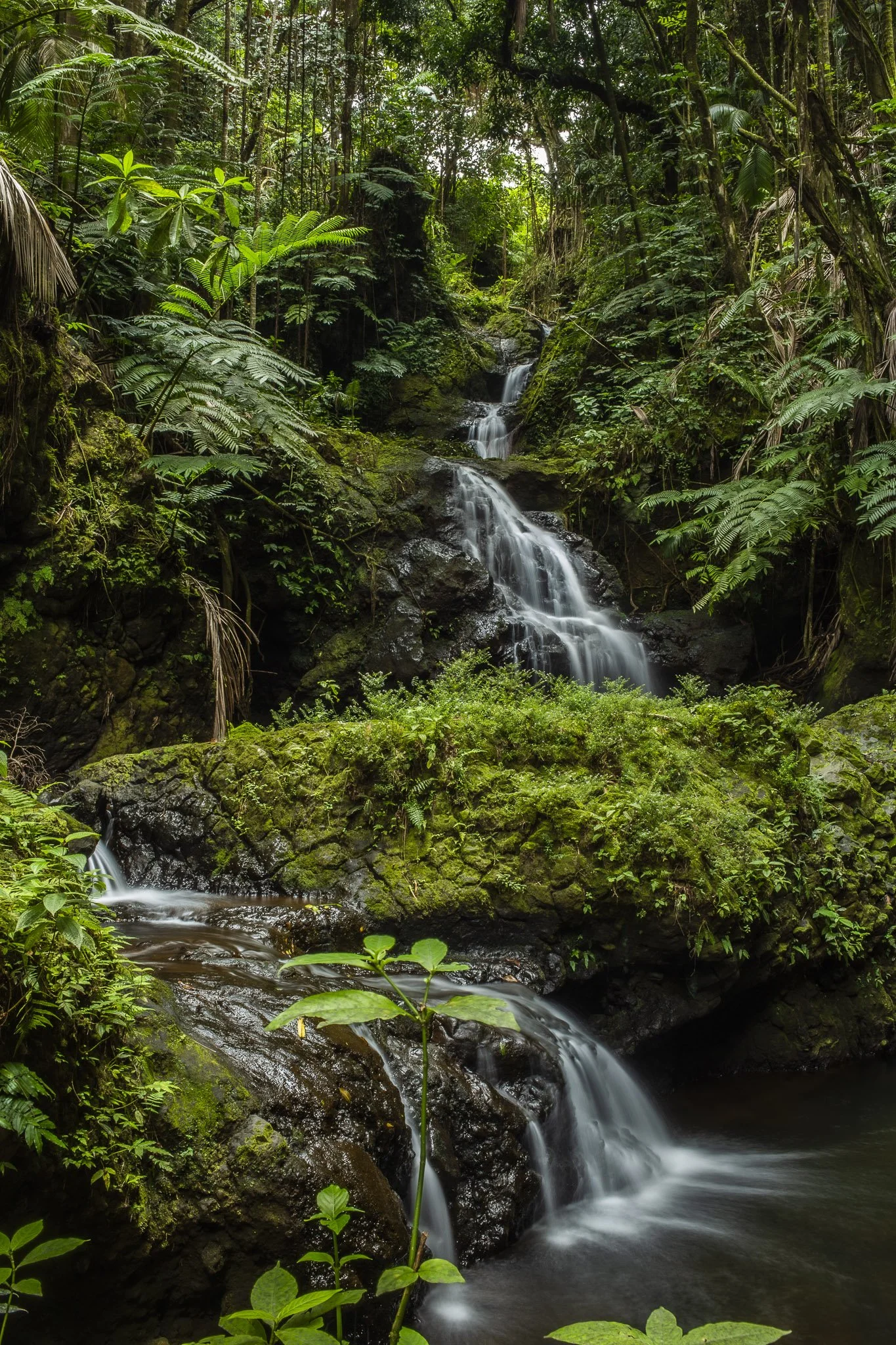 Winner of the UCALGARY International Photo Contest. Category: Out in Nature.