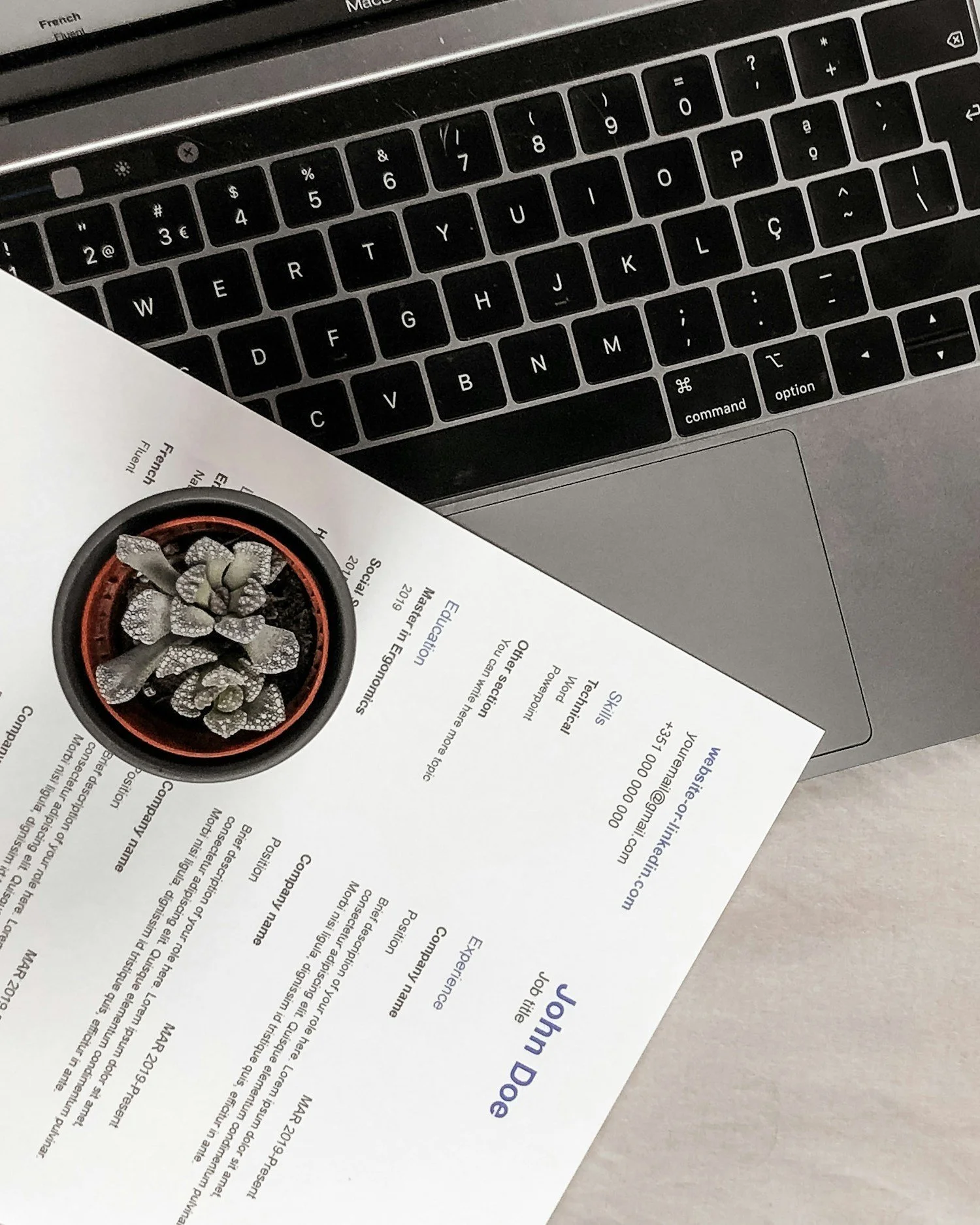 Online STEM resume coaching, illustrating personalized support for polishing or building resumes tailored to research labs, internships, and STEM program applications.