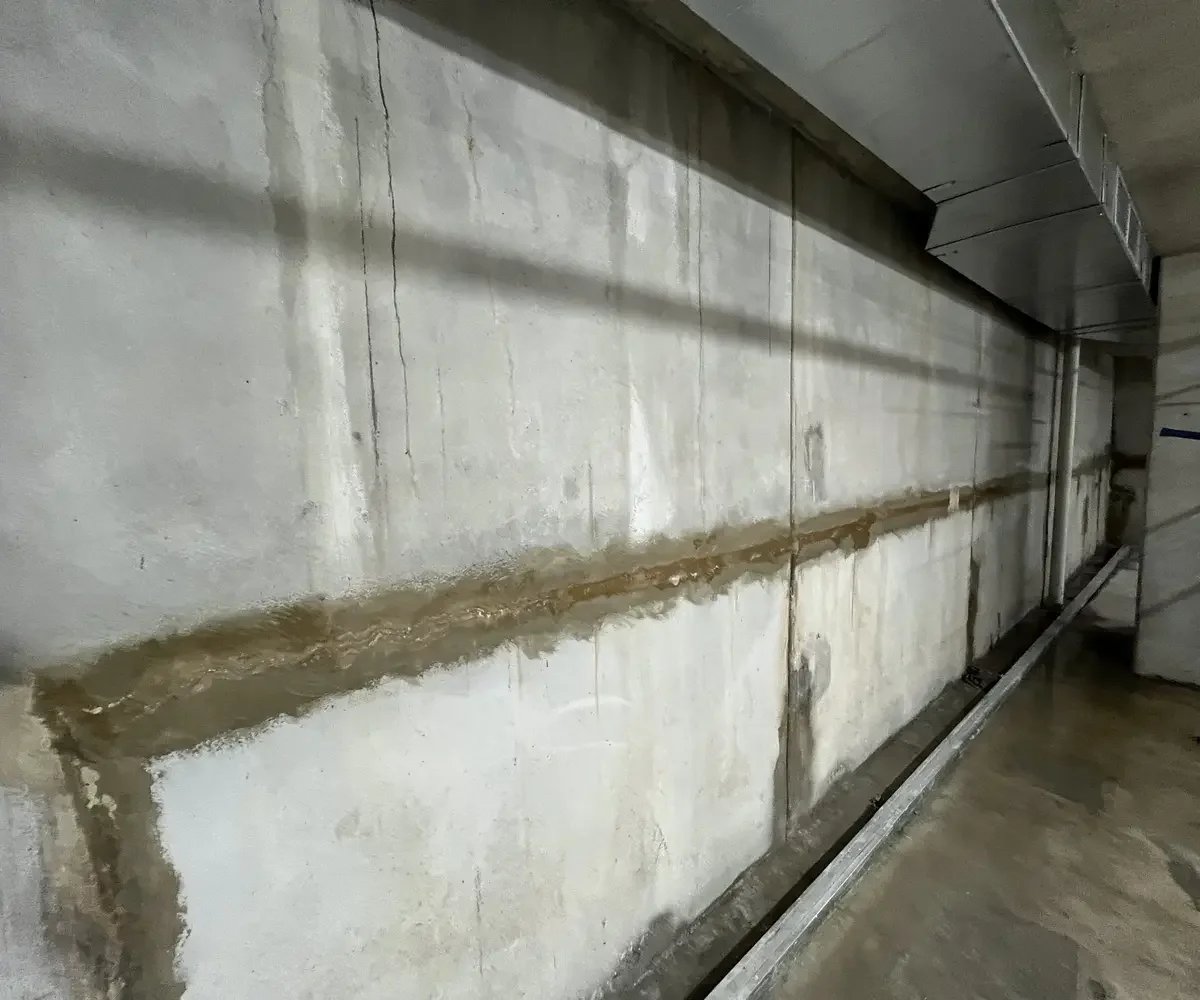 After2-ezgif.com-resize.webp