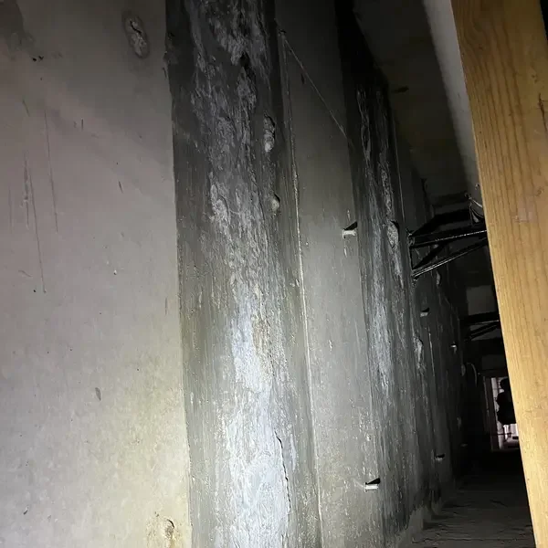 After6-ezgif.com-resize.webp