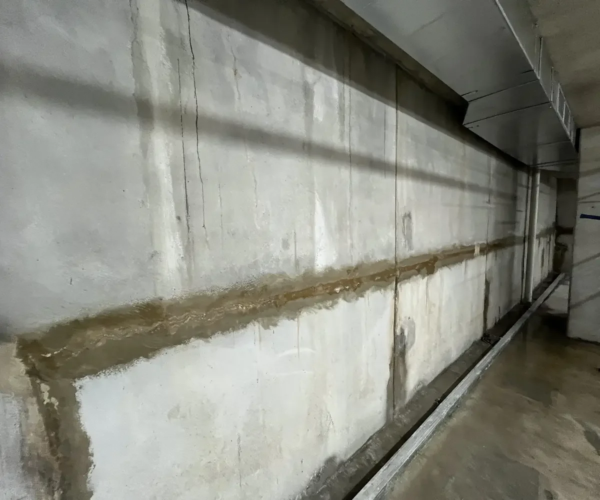 After2-ezgif.com-resize.webp