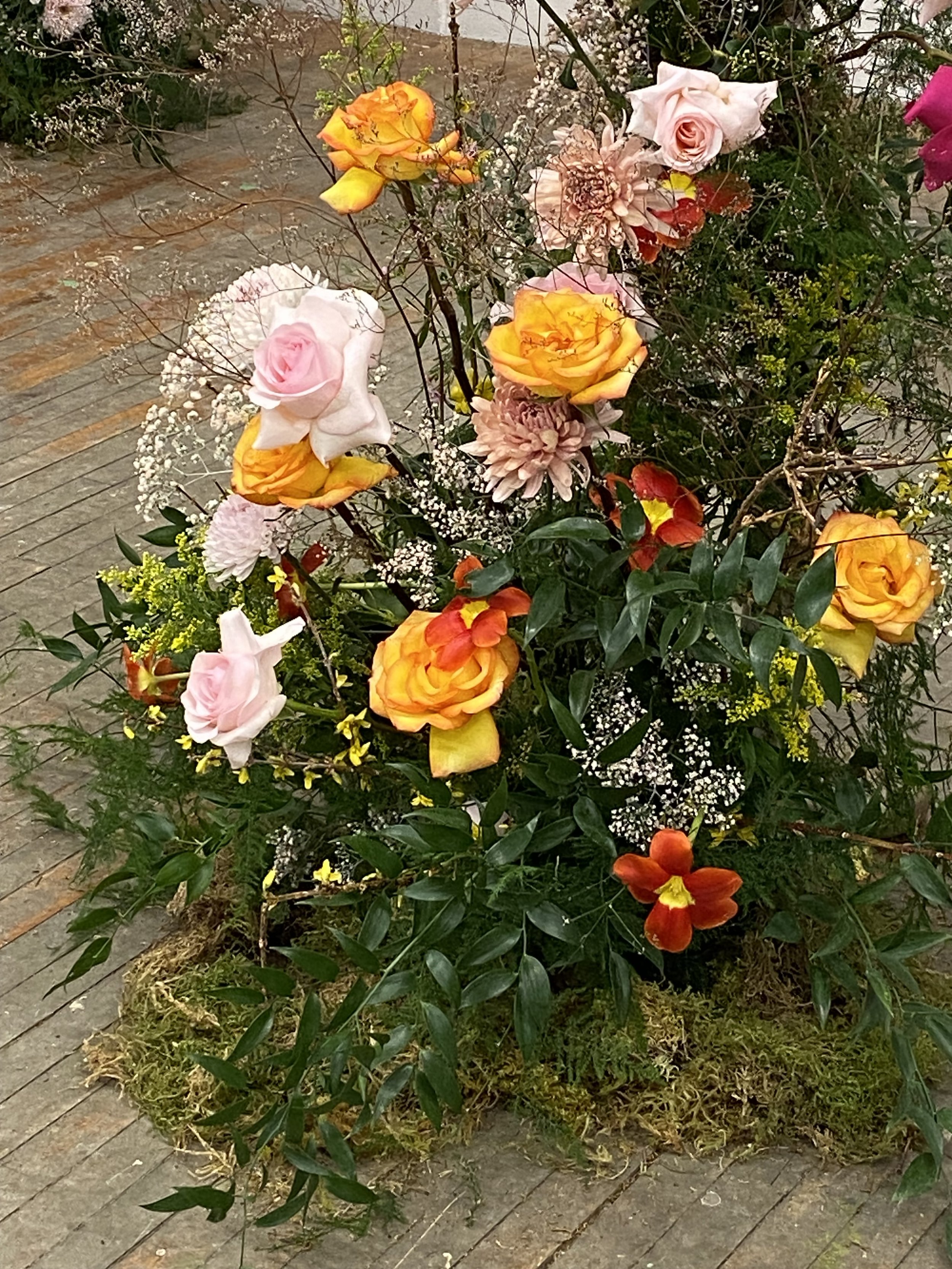 IMG_0394.jpg