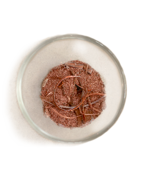 Chocolate dessert with chocolate shavings in a glass dish