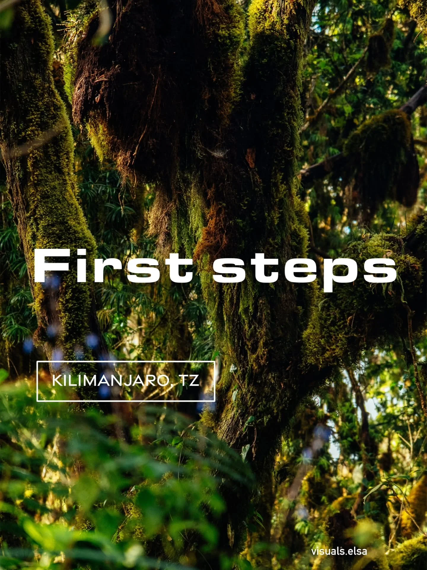 The first post of the Kilimanjaro series! 🌿

I climbed the top of Africa with my partner last month - and a team of 10 amazing guides and porters, but there will be a whole post on this.

Climbing Mount Kilimanjaro is not an easy task and you're met