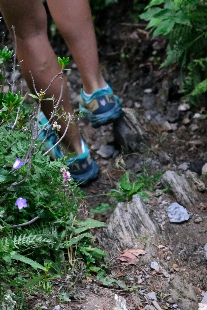 Close-up of a person's legs and feet wearing blue and beige shoes, walking through a dirt trail surrounded by green foliage and plants.