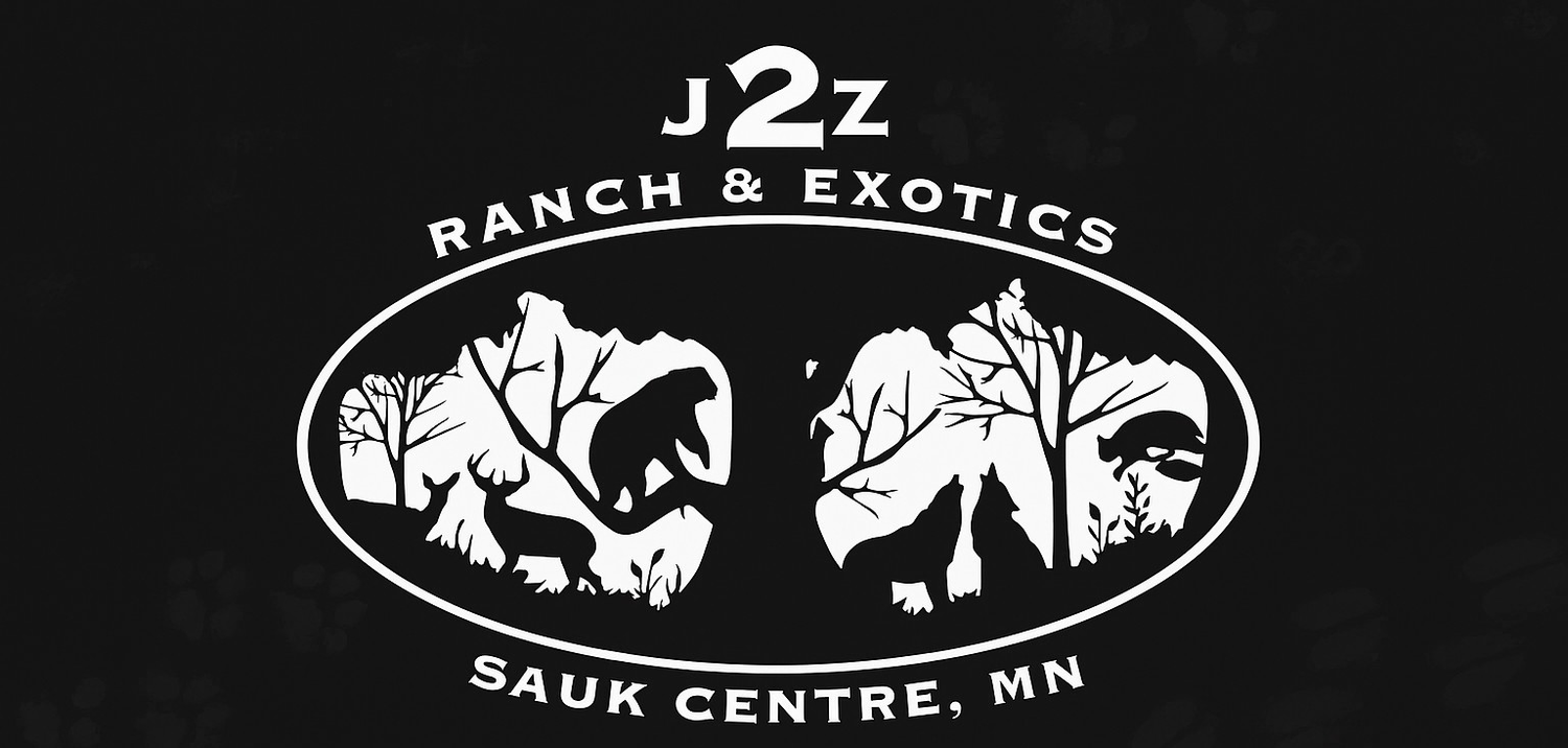 J2Z Ranch &amp; Exotics