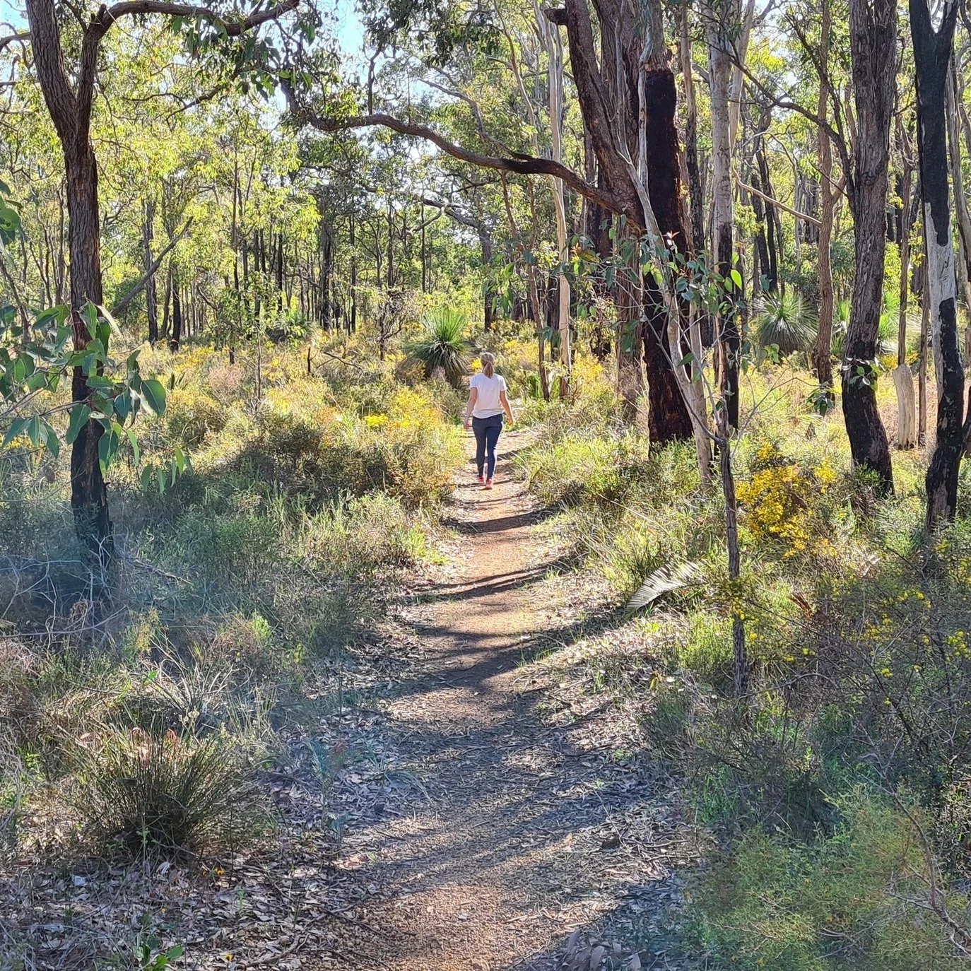 There&rsquo;s something special about our hills community &mdash; the fresh air, the slower pace, and the way people genuinely care for one another.

Citta Flow was created from that same spirit.
A space for locals to reconnect, heal, and breathe.

W