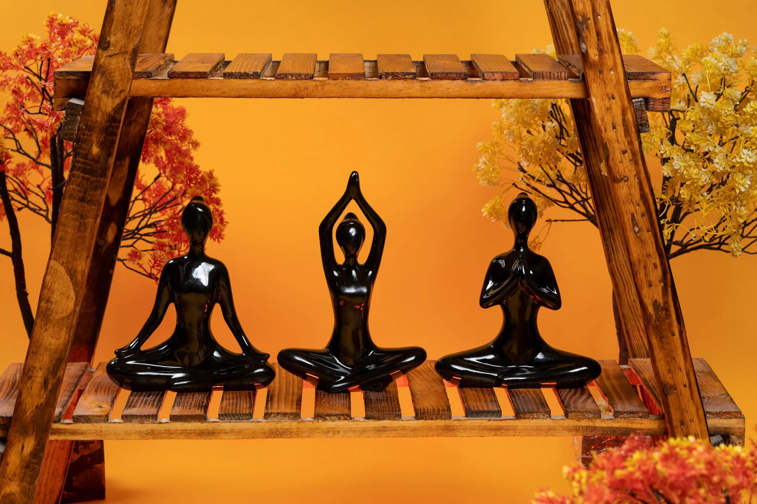 Hatha Yoga: Your Questions Answered